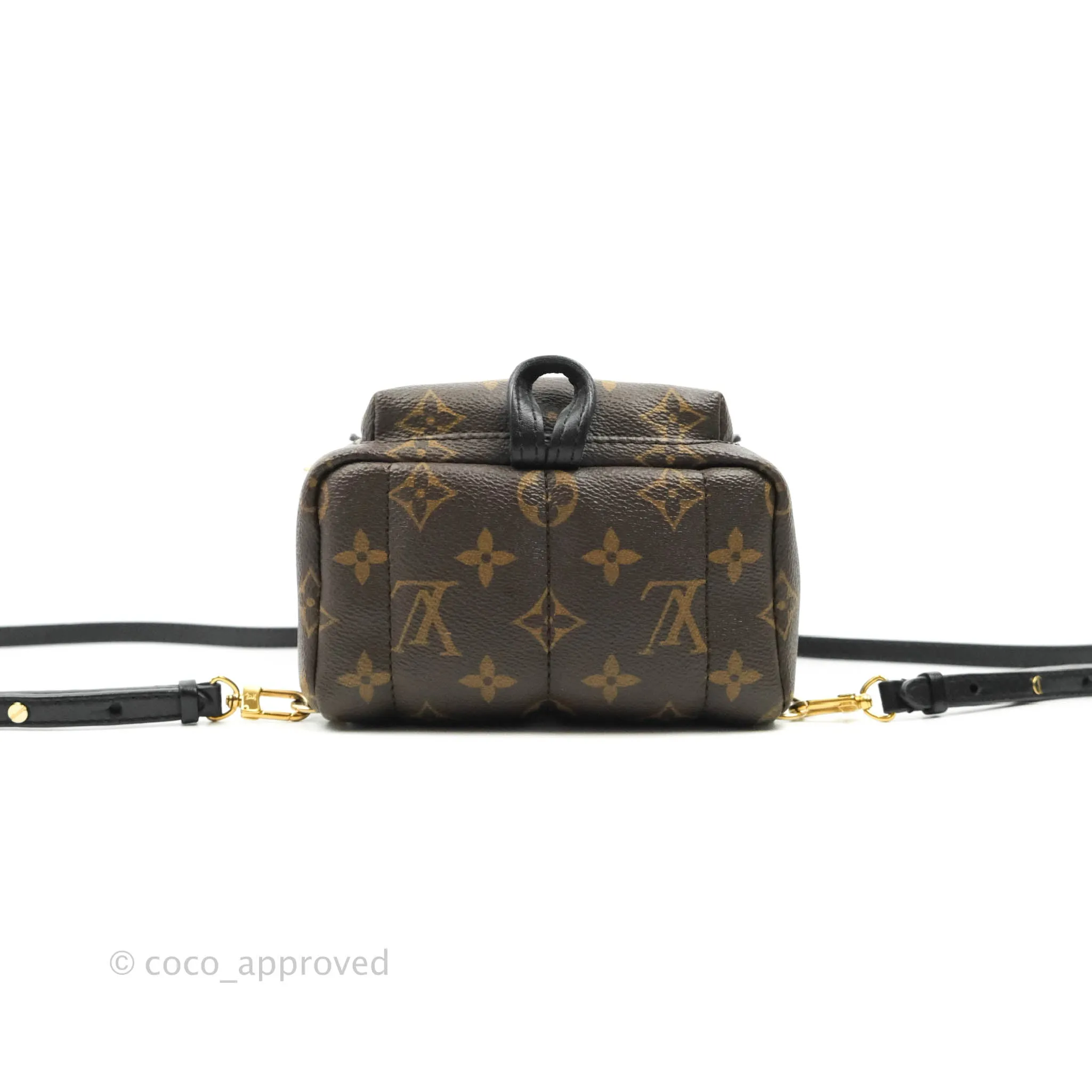 Louis Vuitton Monogram Mini Palm Springs Backpack