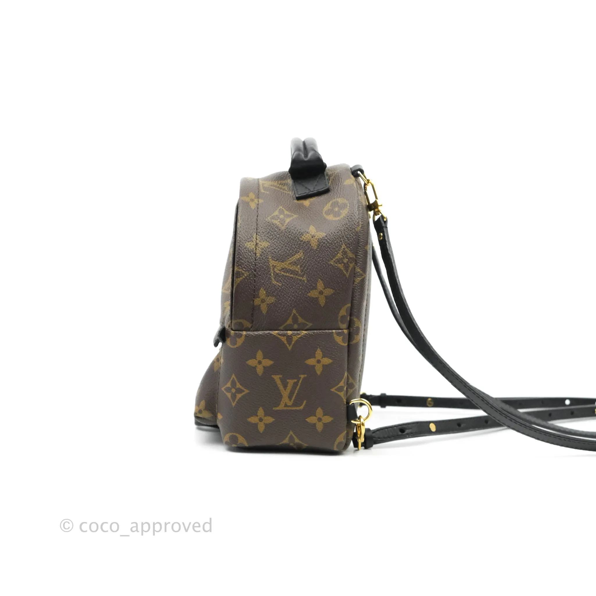 Louis Vuitton Monogram Mini Palm Springs Backpack