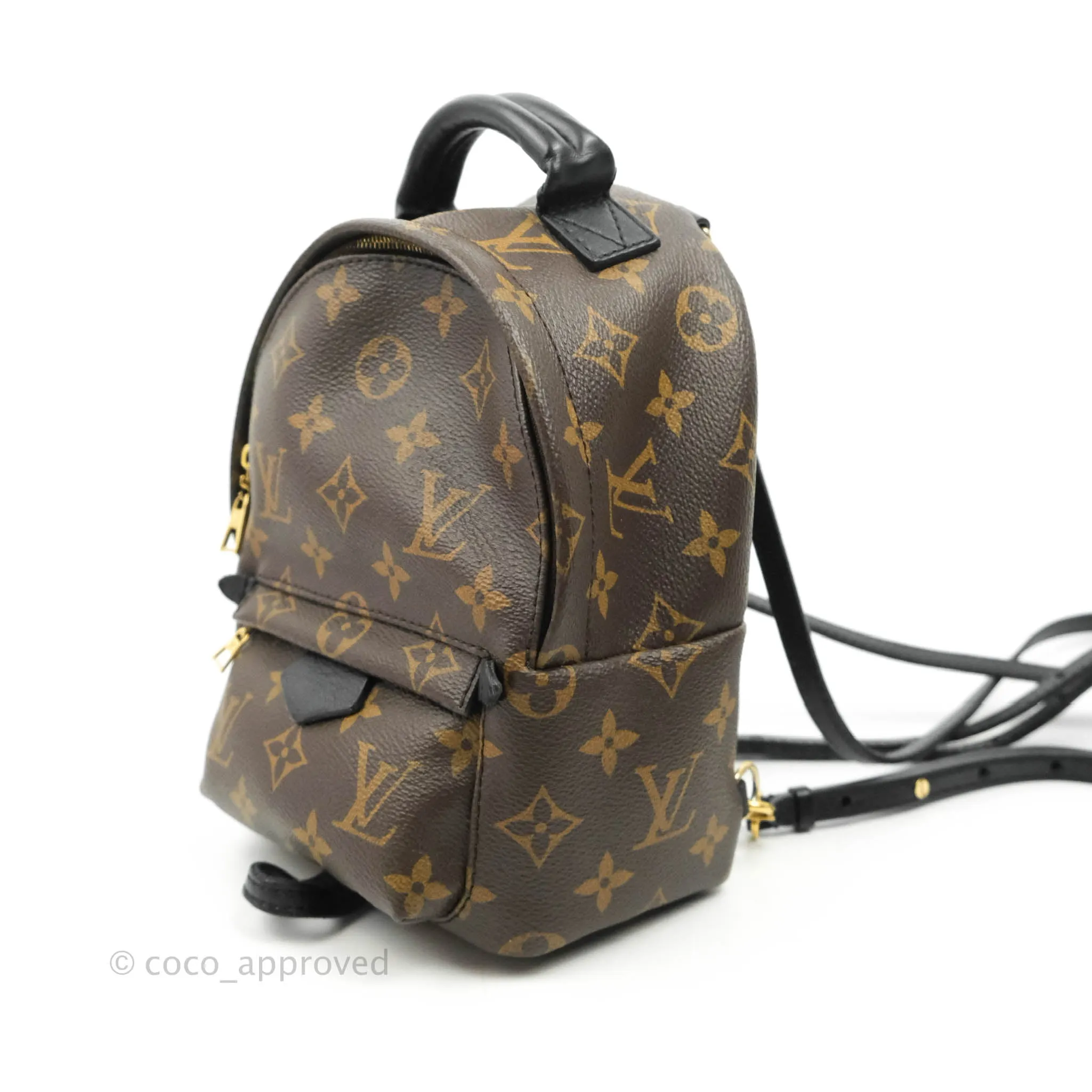 Louis Vuitton Monogram Mini Palm Springs Backpack