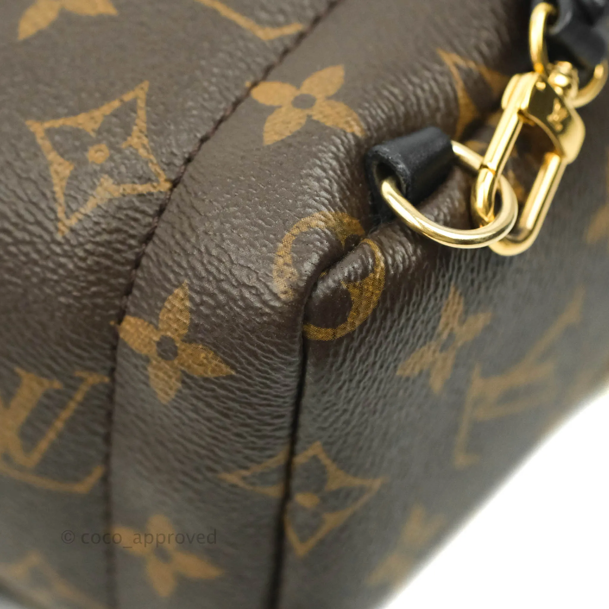 Louis Vuitton Monogram Mini Palm Springs Backpack