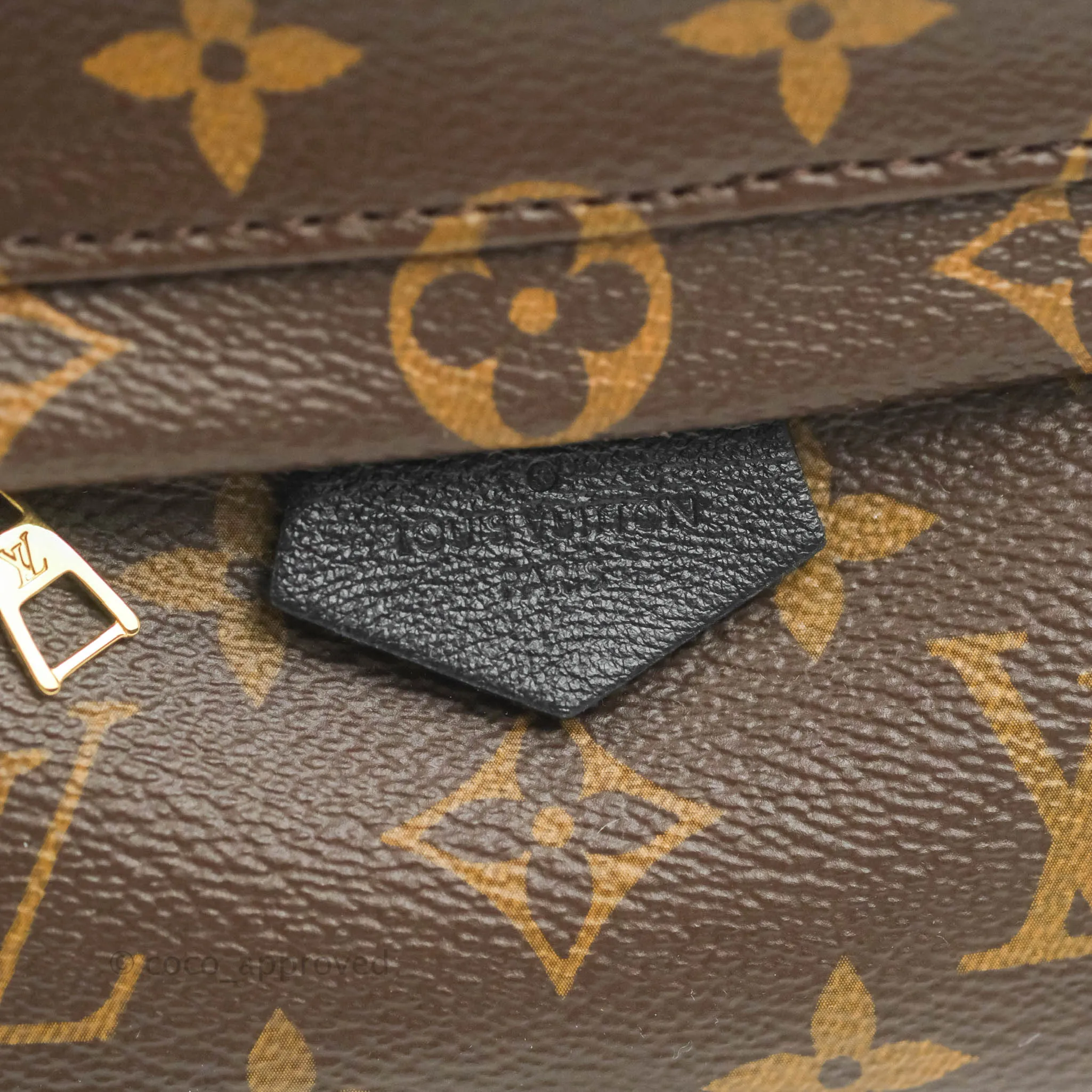 Louis Vuitton Monogram Mini Palm Springs Backpack