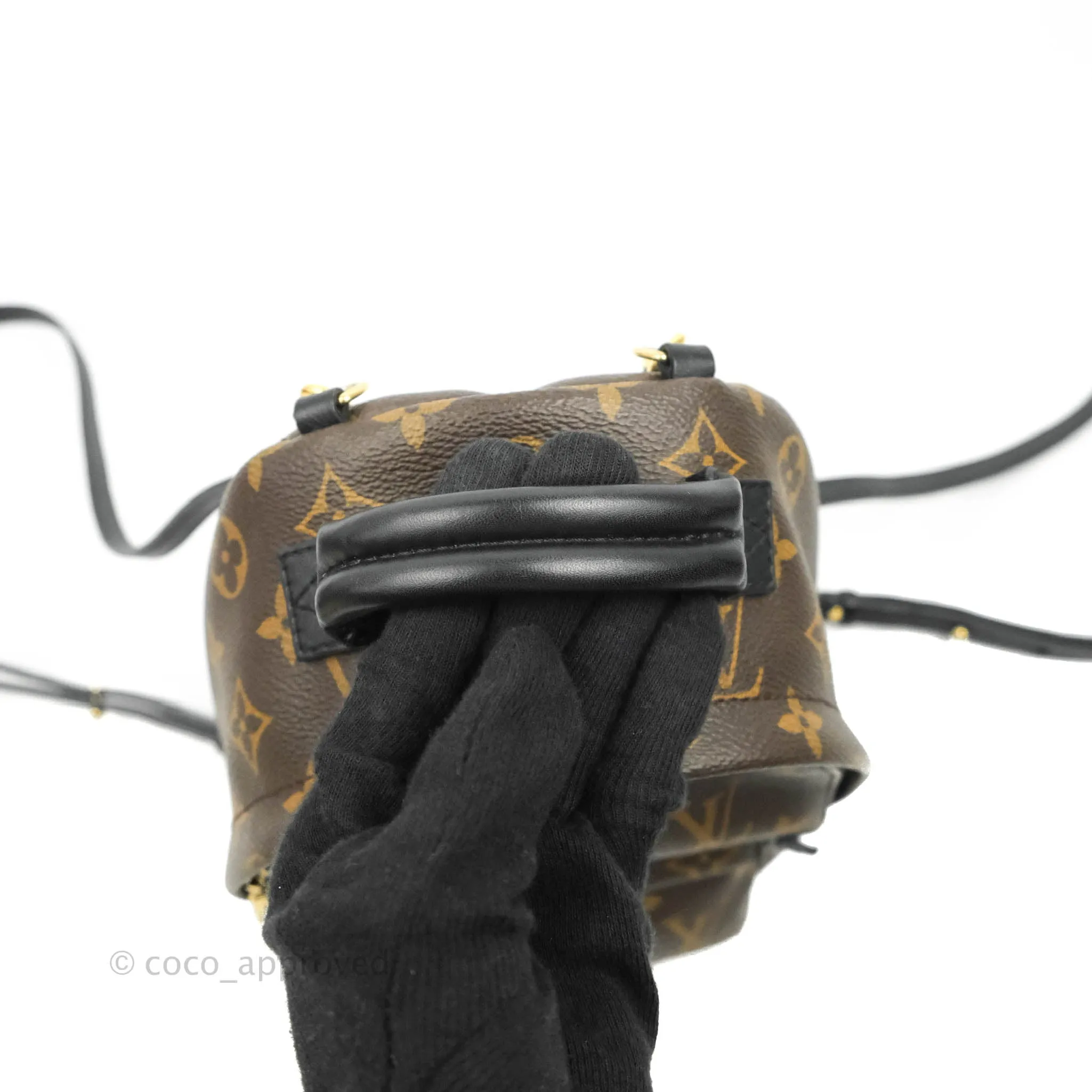 Louis Vuitton Monogram Mini Palm Springs Backpack