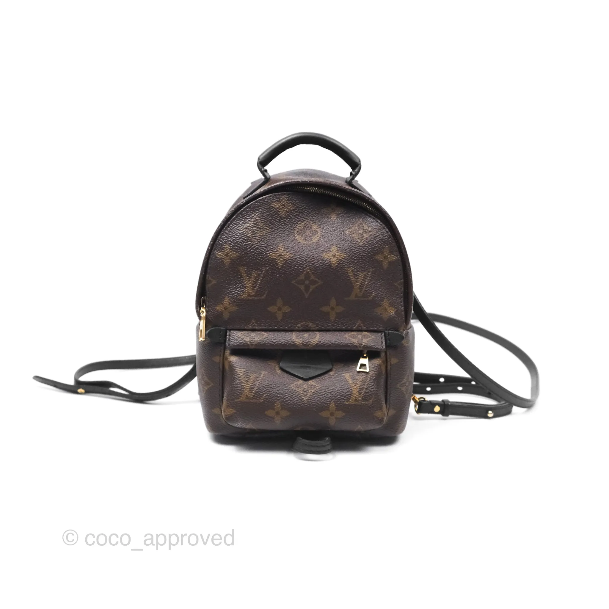 Louis Vuitton Monogram Mini Palm Springs Backpack