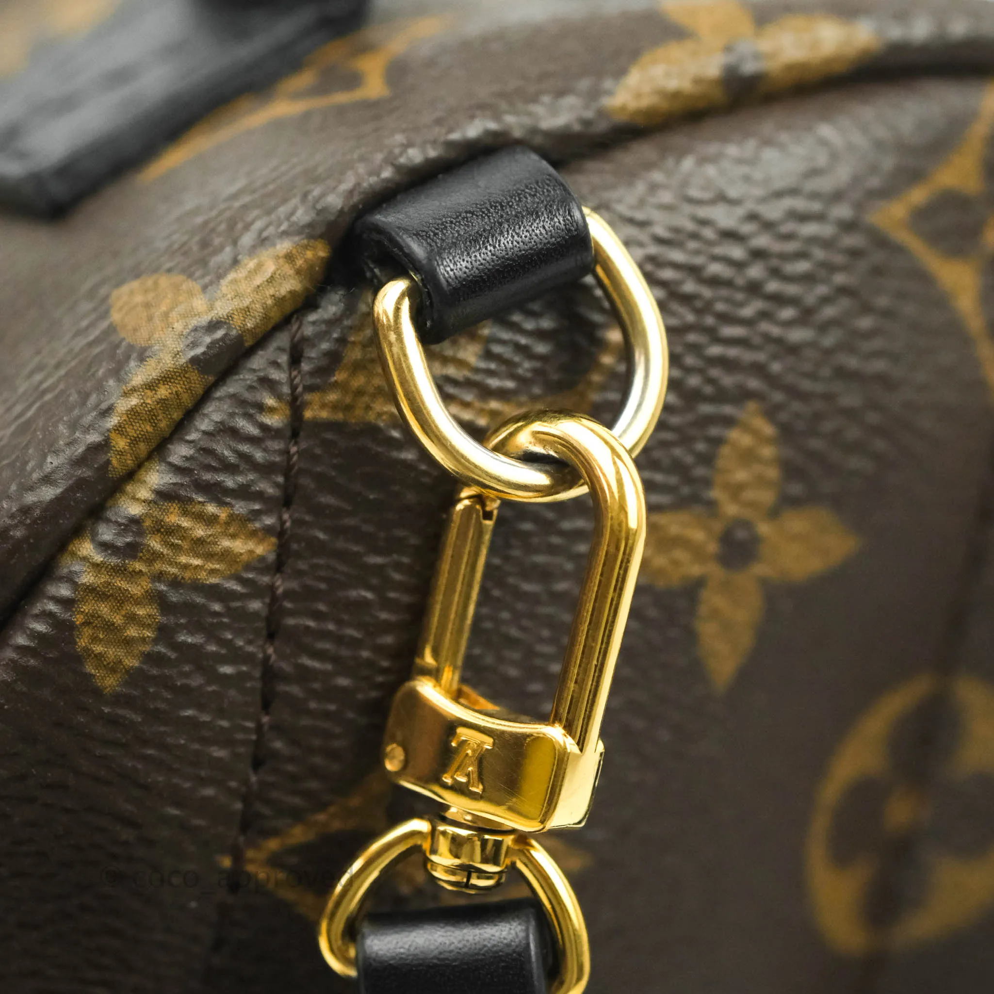 Louis Vuitton Monogram Mini Palm Springs Backpack