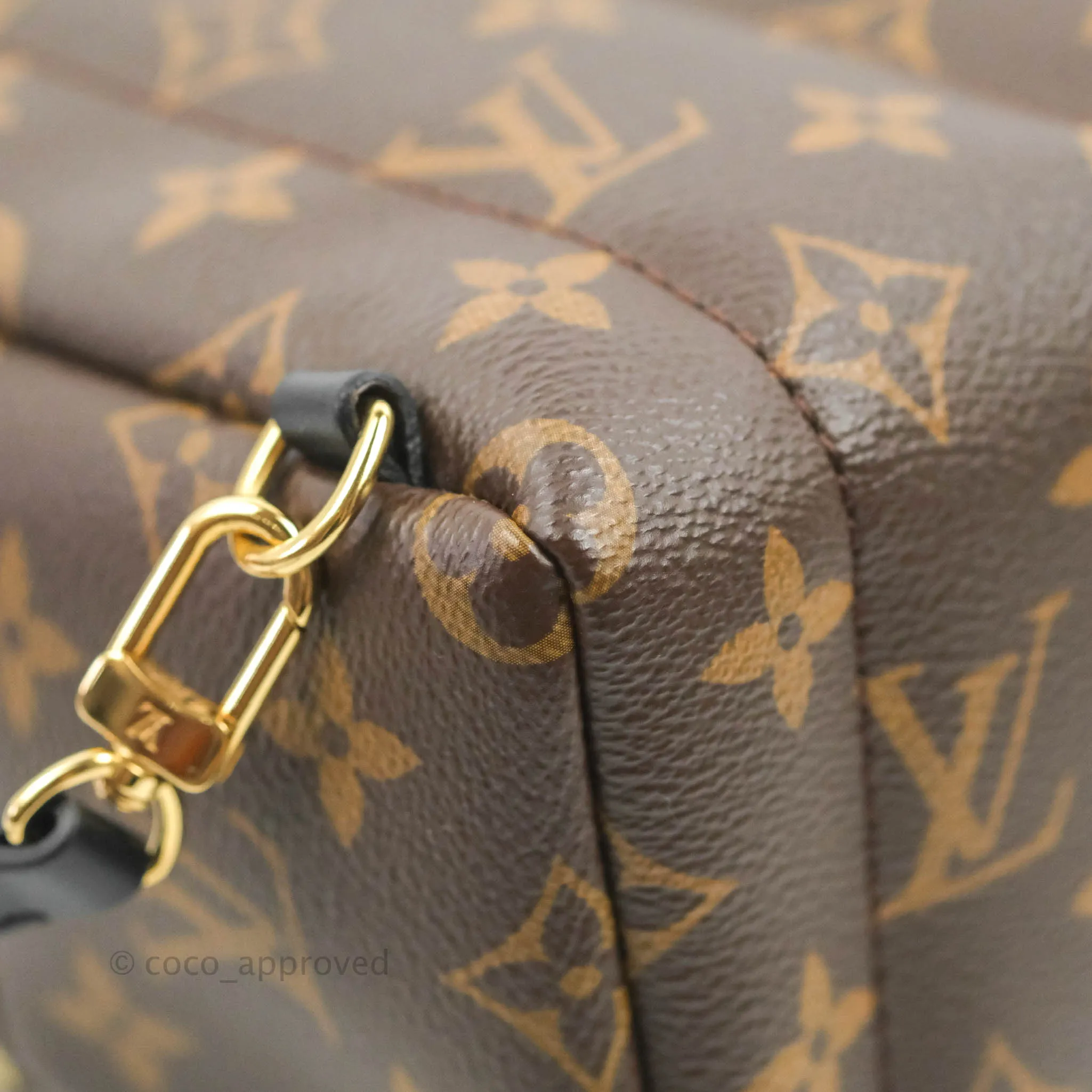 Louis Vuitton Monogram Mini Palm Springs Backpack