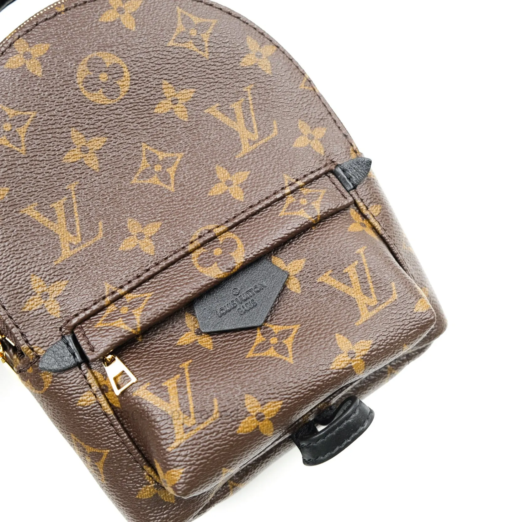 Louis Vuitton Monogram Mini Palm Springs Backpack