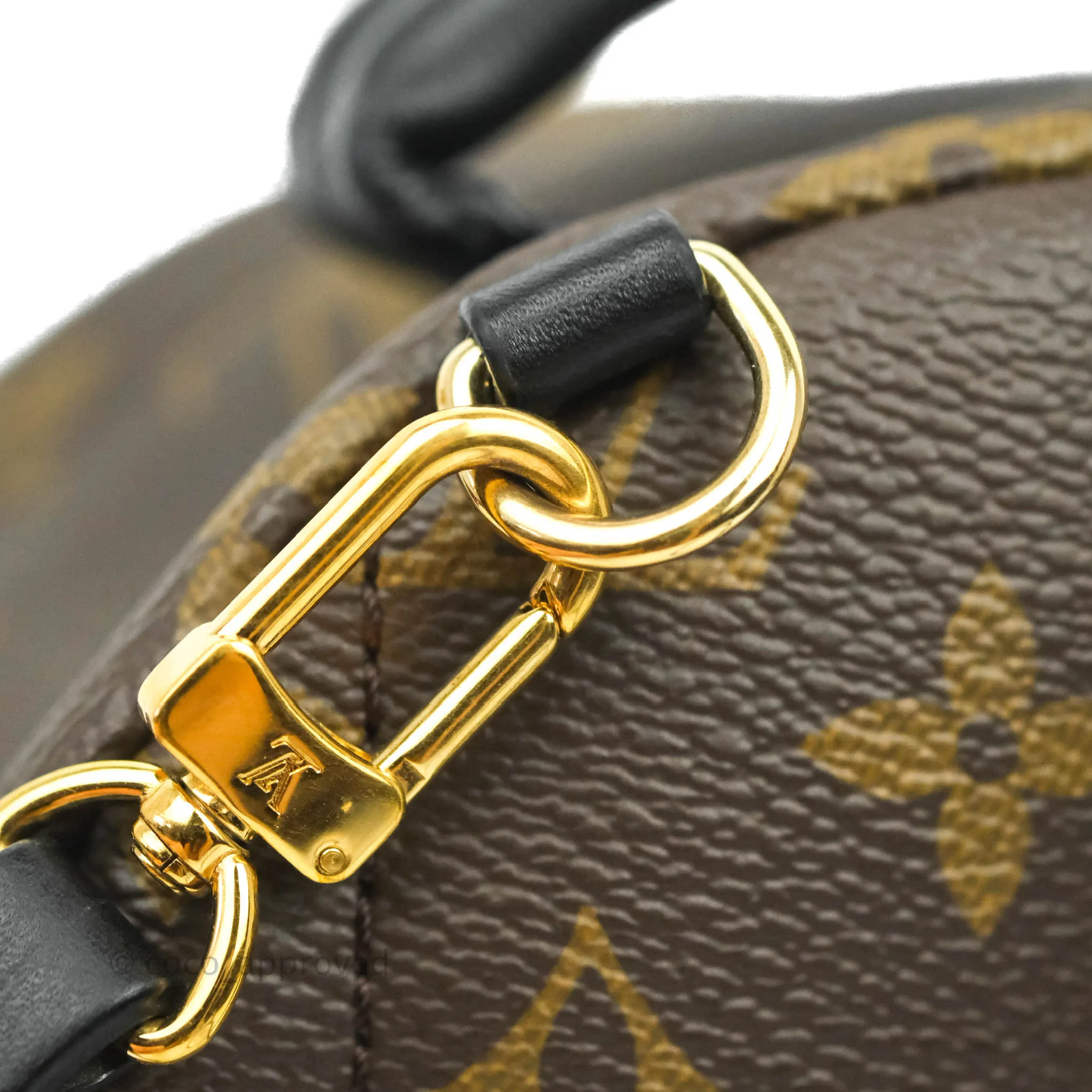 Louis Vuitton Monogram Mini Palm Springs Backpack