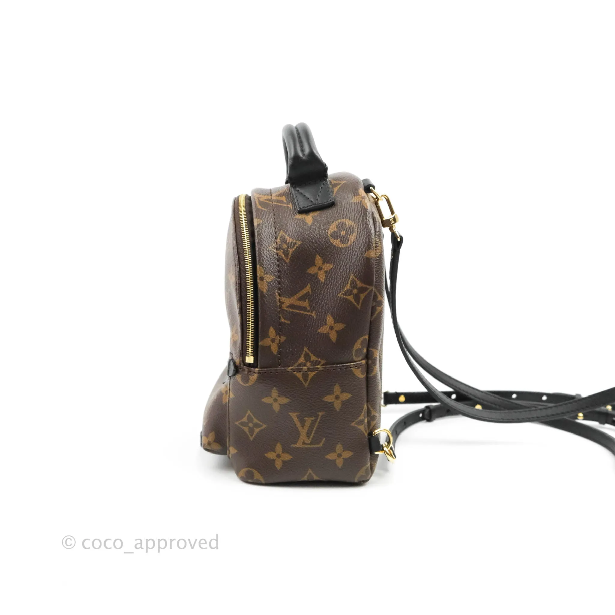 Louis Vuitton Monogram Mini Palm Springs Backpack