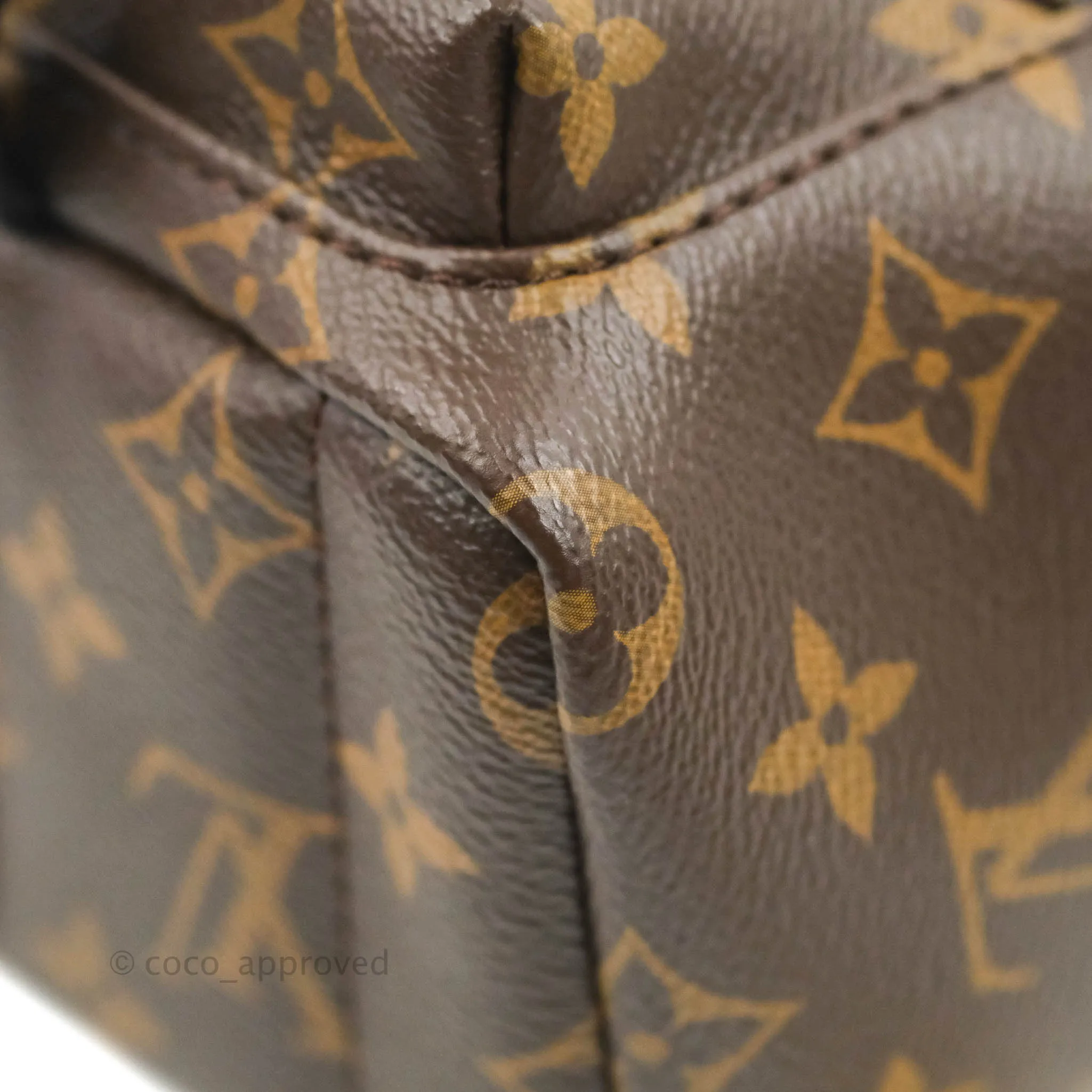 Louis Vuitton Monogram Mini Palm Springs Backpack