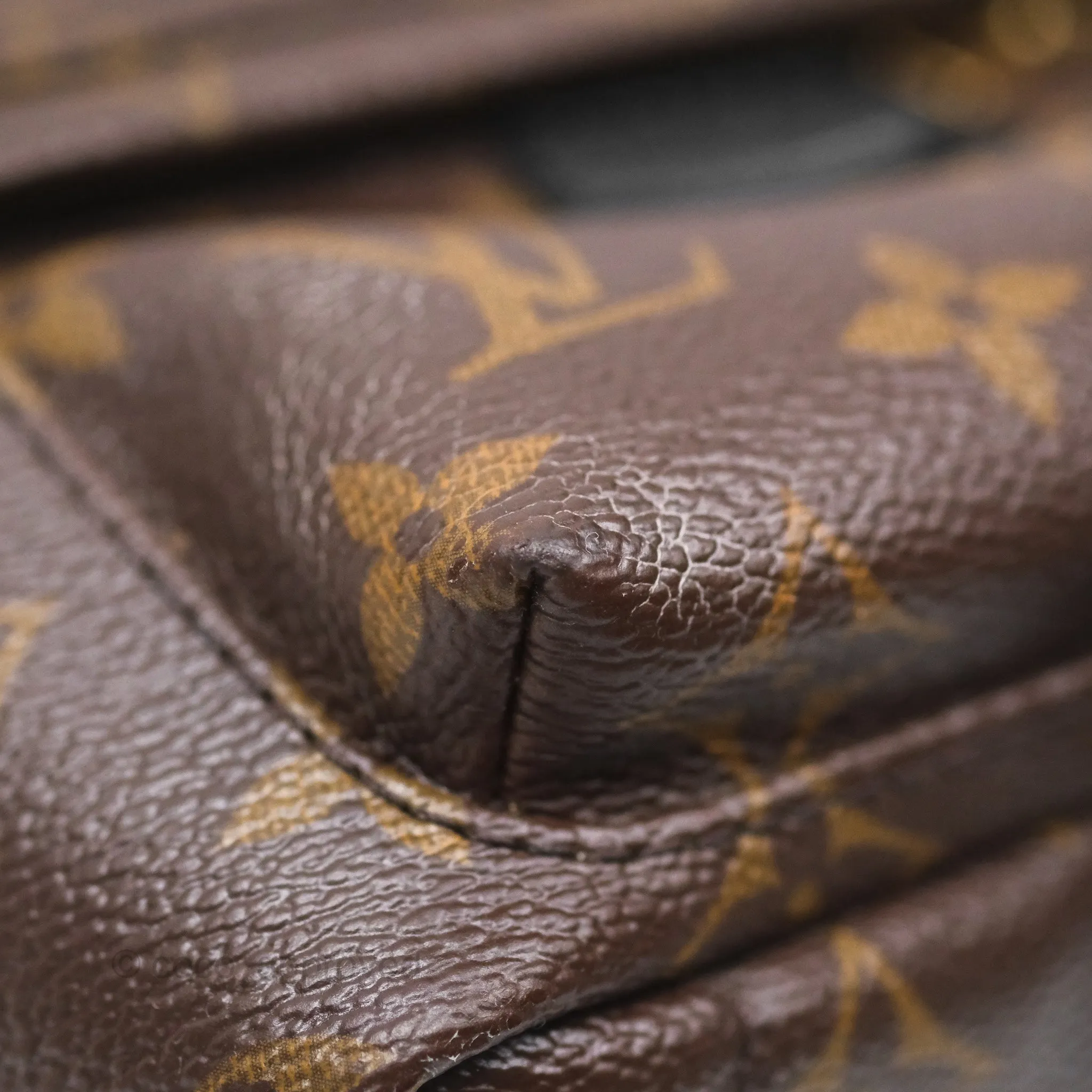 Louis Vuitton Monogram Mini Palm Springs Backpack