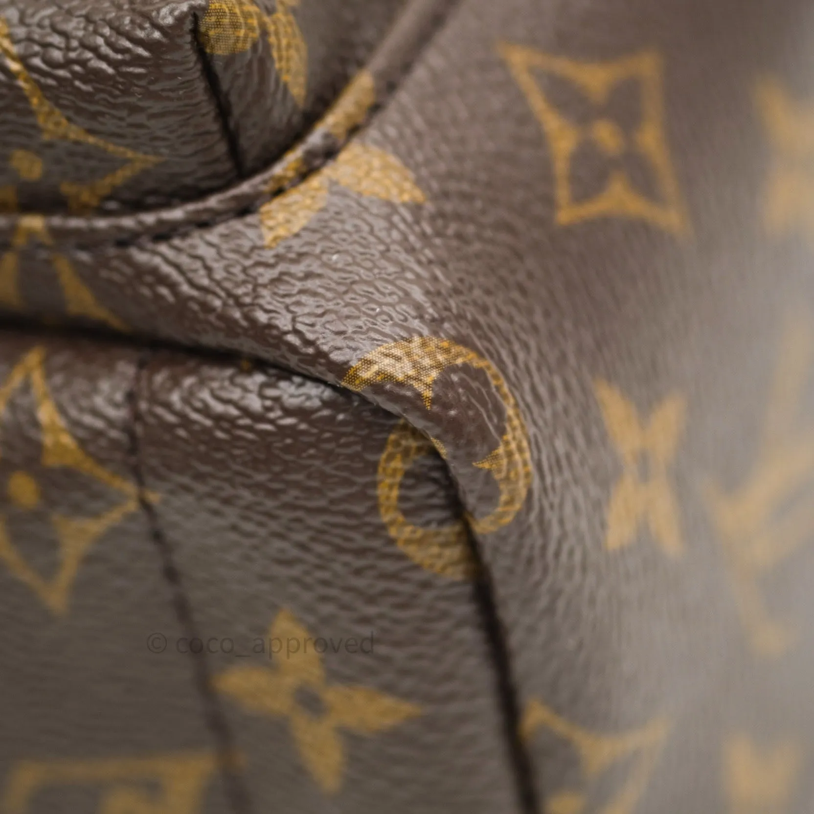 Louis Vuitton Monogram Mini Palm Springs Backpack