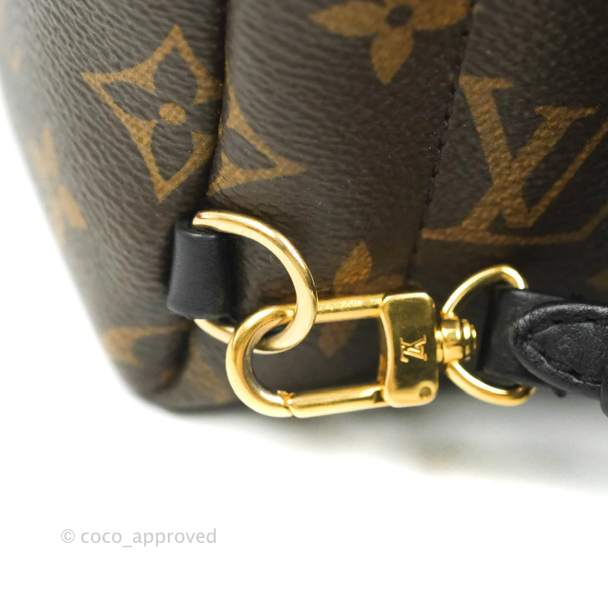 Louis Vuitton Monogram Mini Palm Springs Backpack