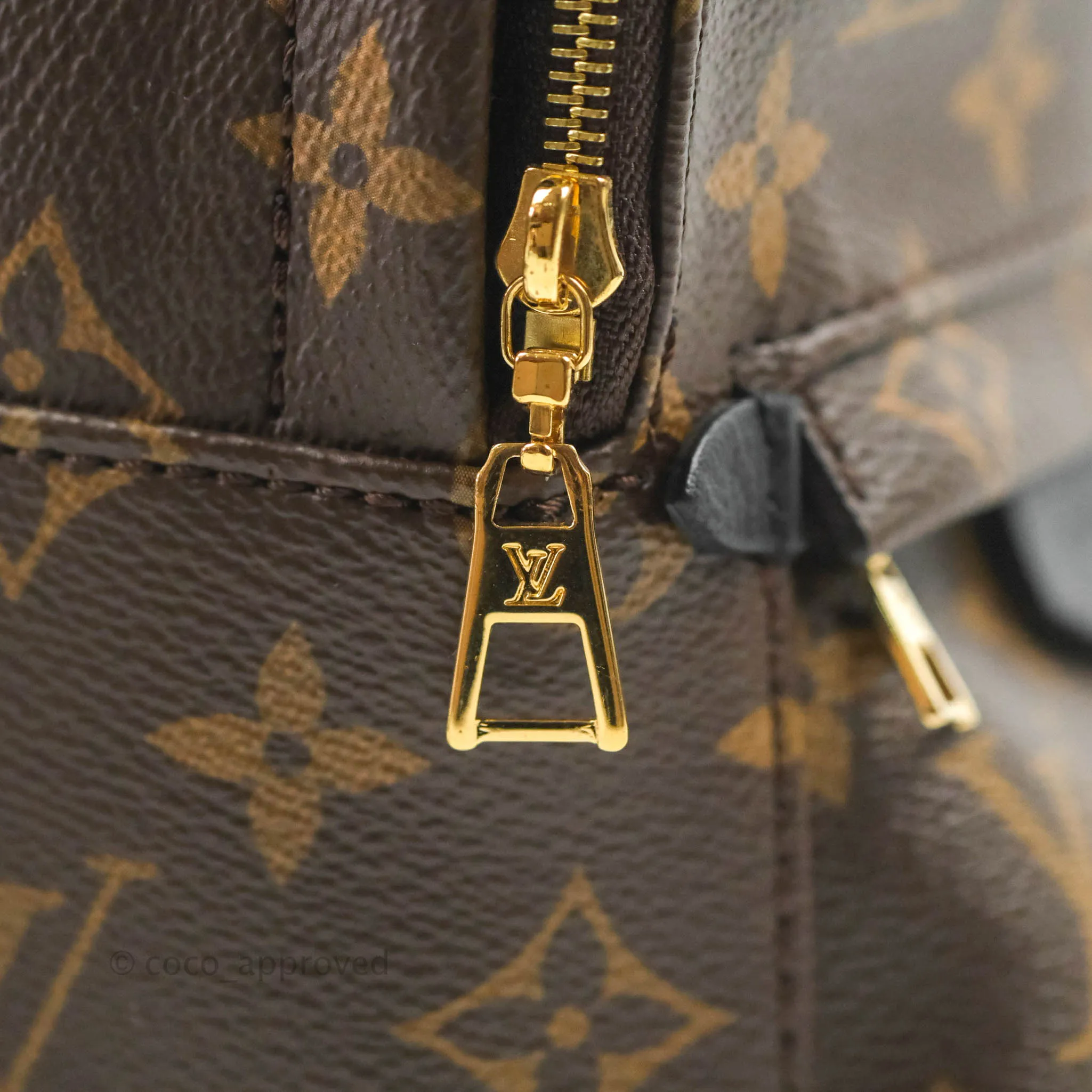 Louis Vuitton Monogram Mini Palm Springs Backpack