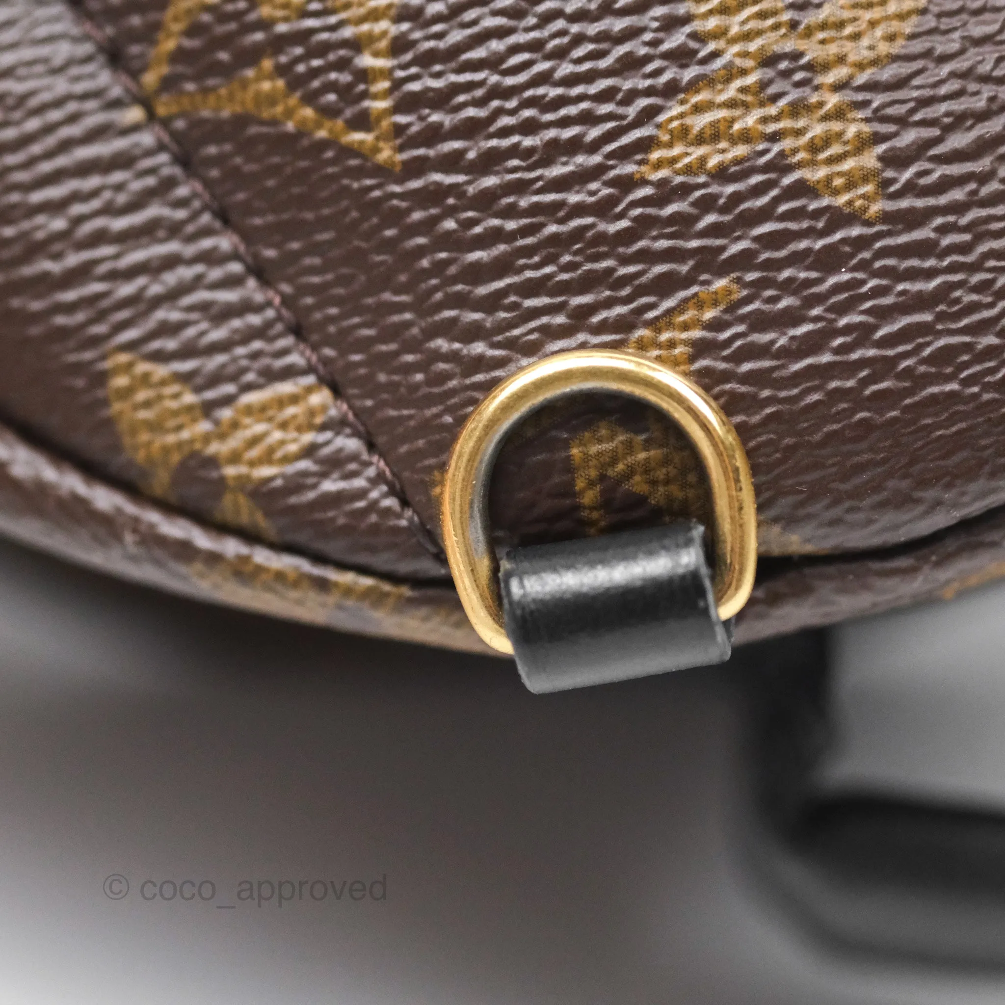 Louis Vuitton Monogram Mini Palm Springs Backpack