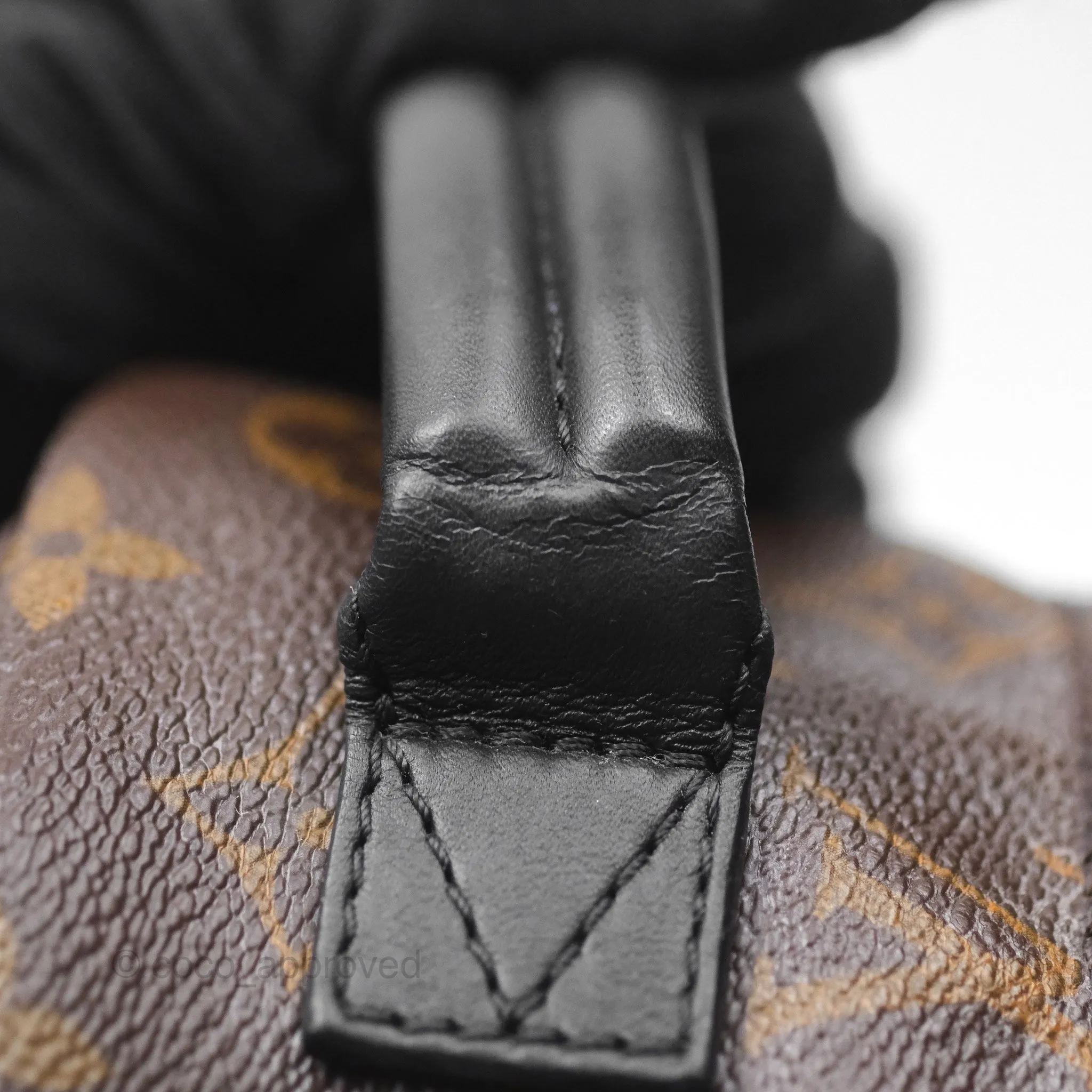 Louis Vuitton Monogram Mini Palm Springs Backpack