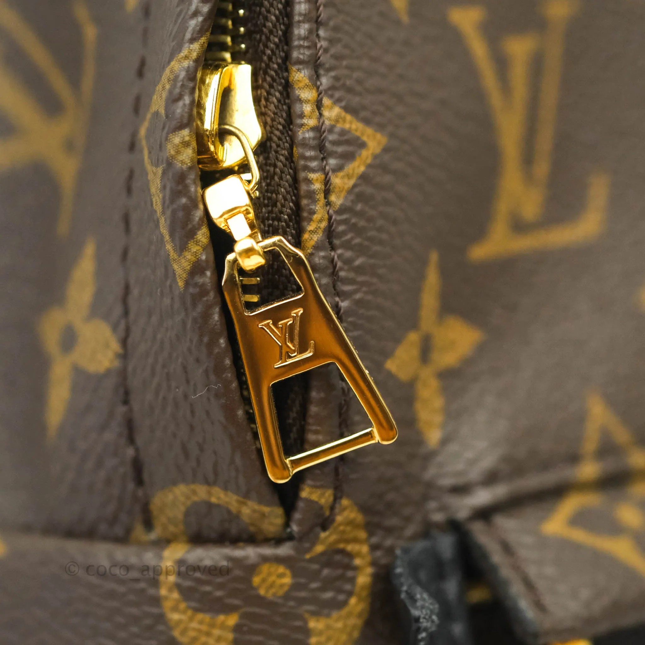 Louis Vuitton Monogram Mini Palm Springs Backpack