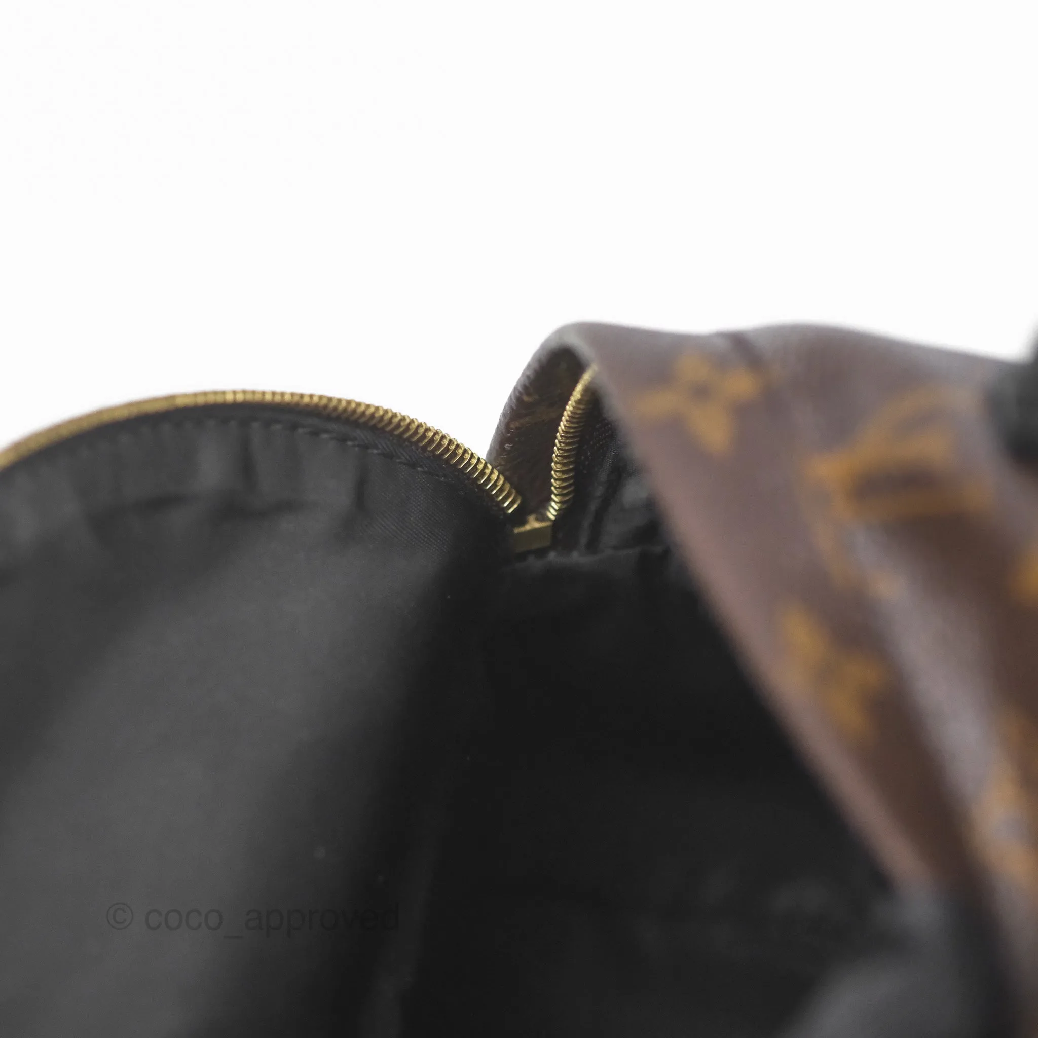 Louis Vuitton Monogram Mini Palm Springs Backpack