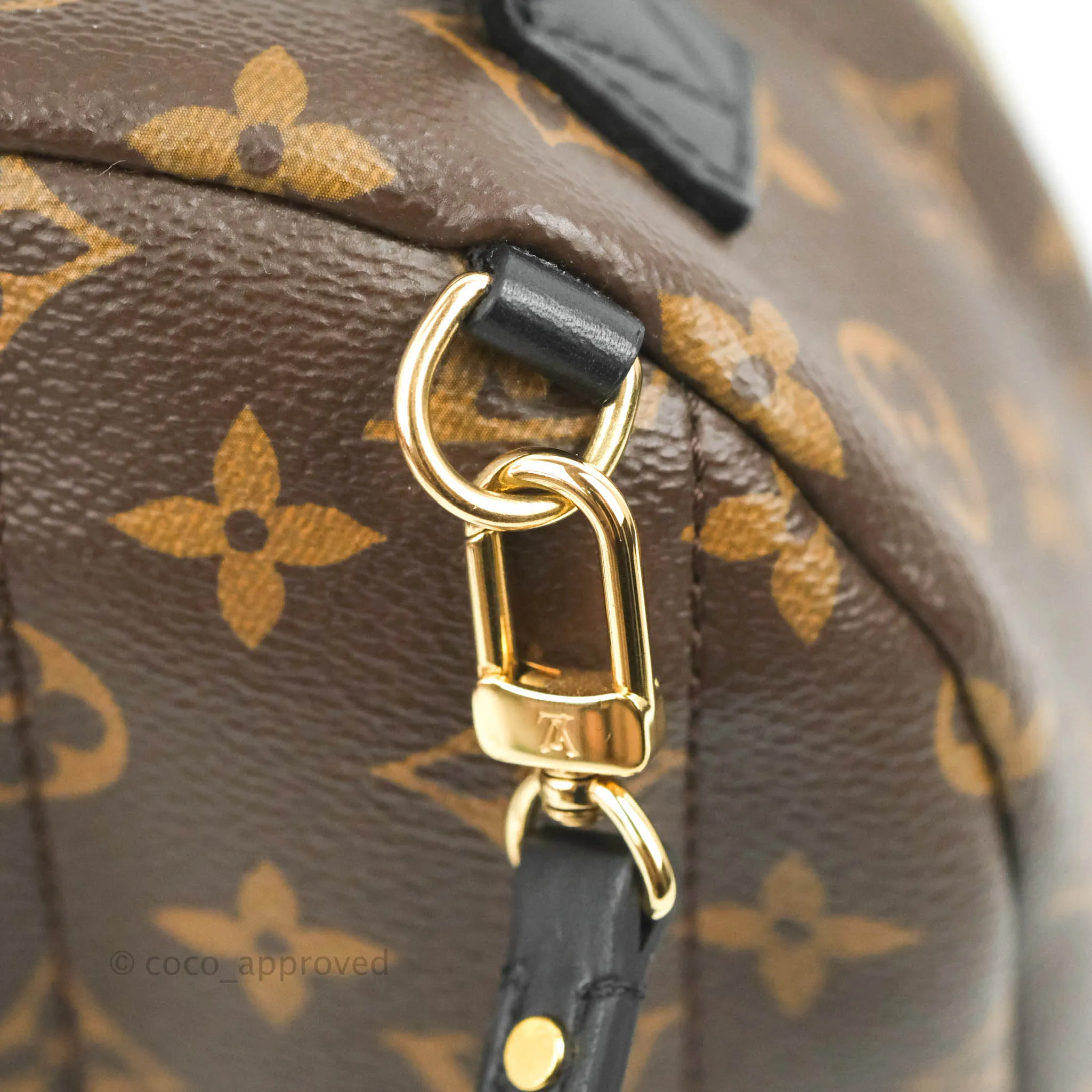 Louis Vuitton Monogram Mini Palm Springs Backpack