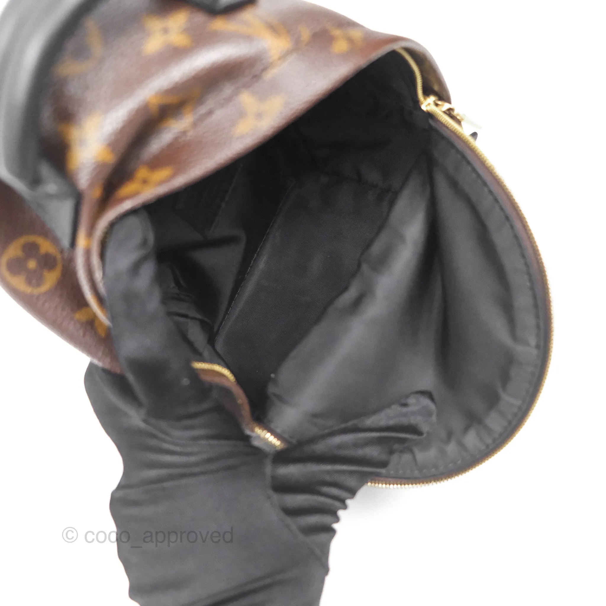 Louis Vuitton Monogram Mini Palm Springs Backpack