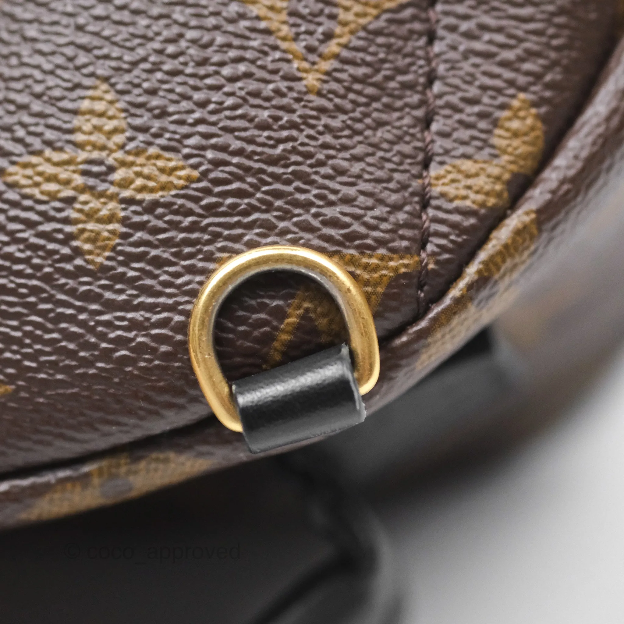 Louis Vuitton Monogram Mini Palm Springs Backpack