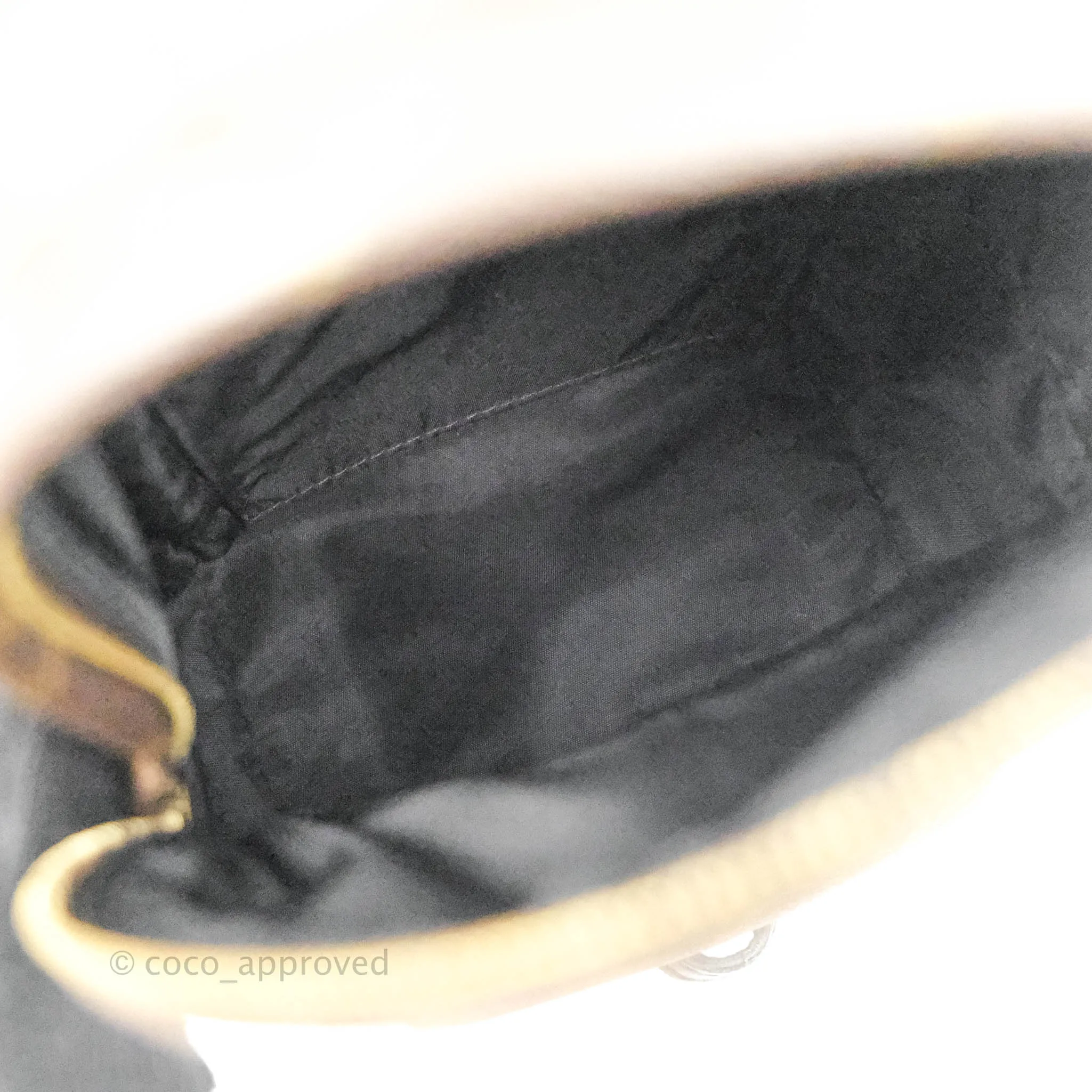 Louis Vuitton Monogram Mini Palm Springs Backpack