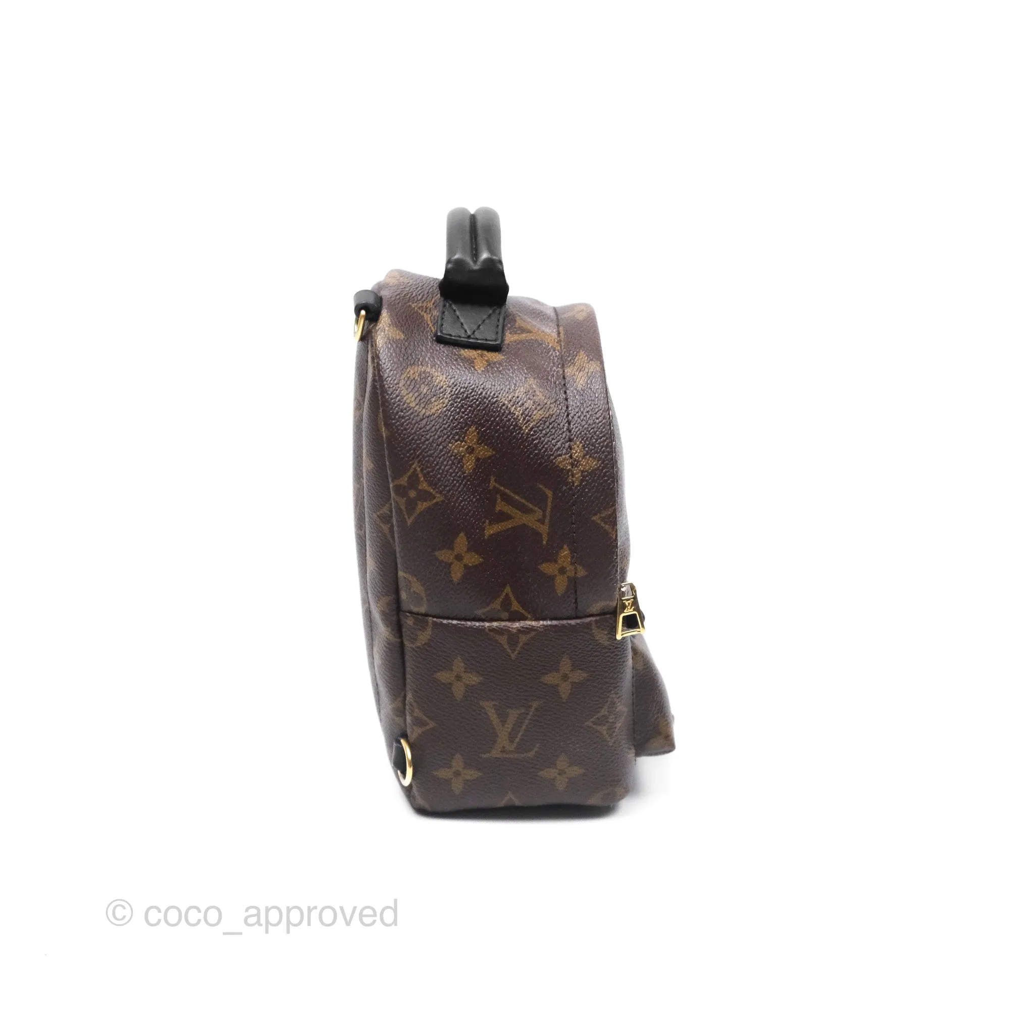 Louis Vuitton Monogram Mini Palm Springs Backpack