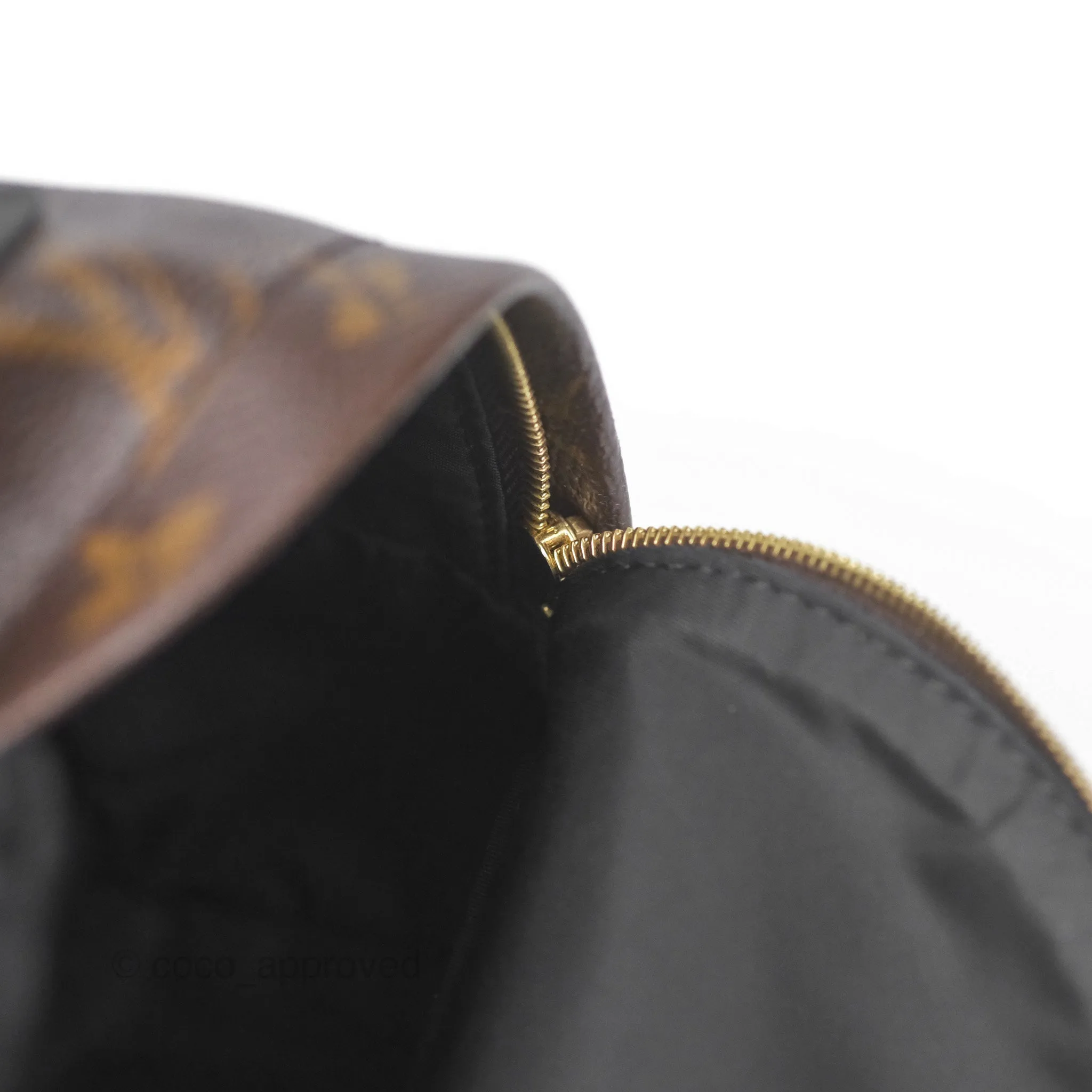 Louis Vuitton Monogram Mini Palm Springs Backpack