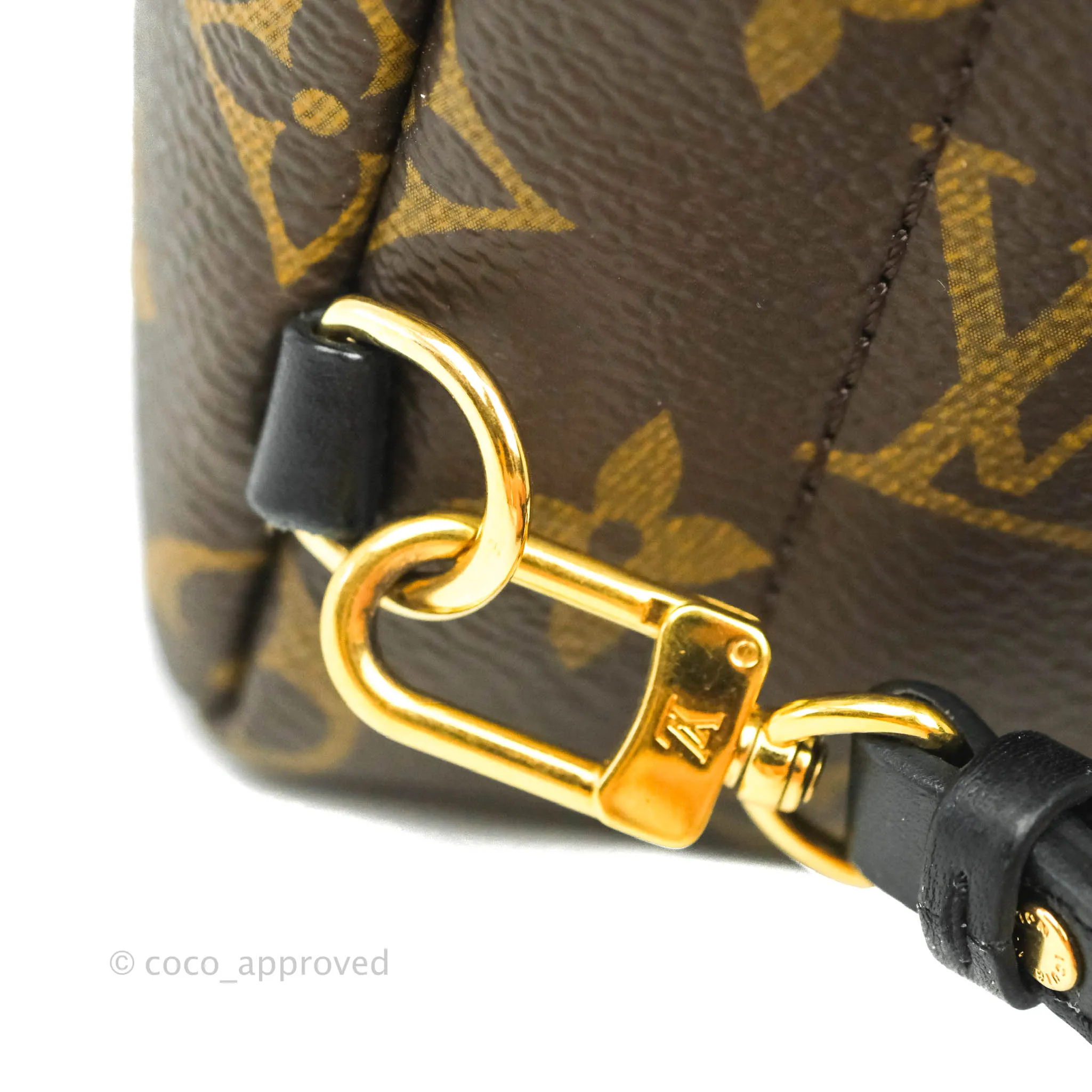Louis Vuitton Monogram Mini Palm Springs Backpack