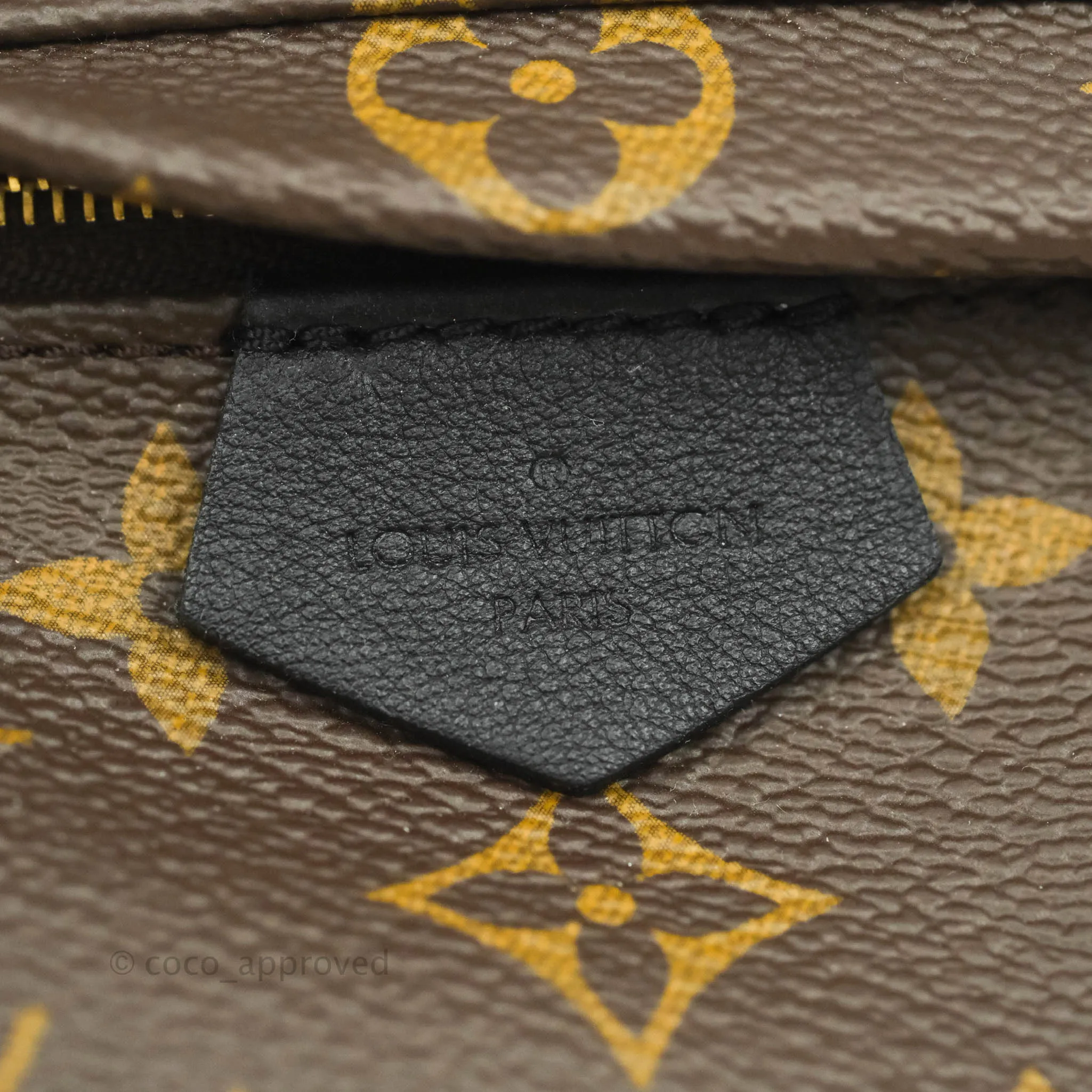 Louis Vuitton Monogram Mini Palm Springs Backpack