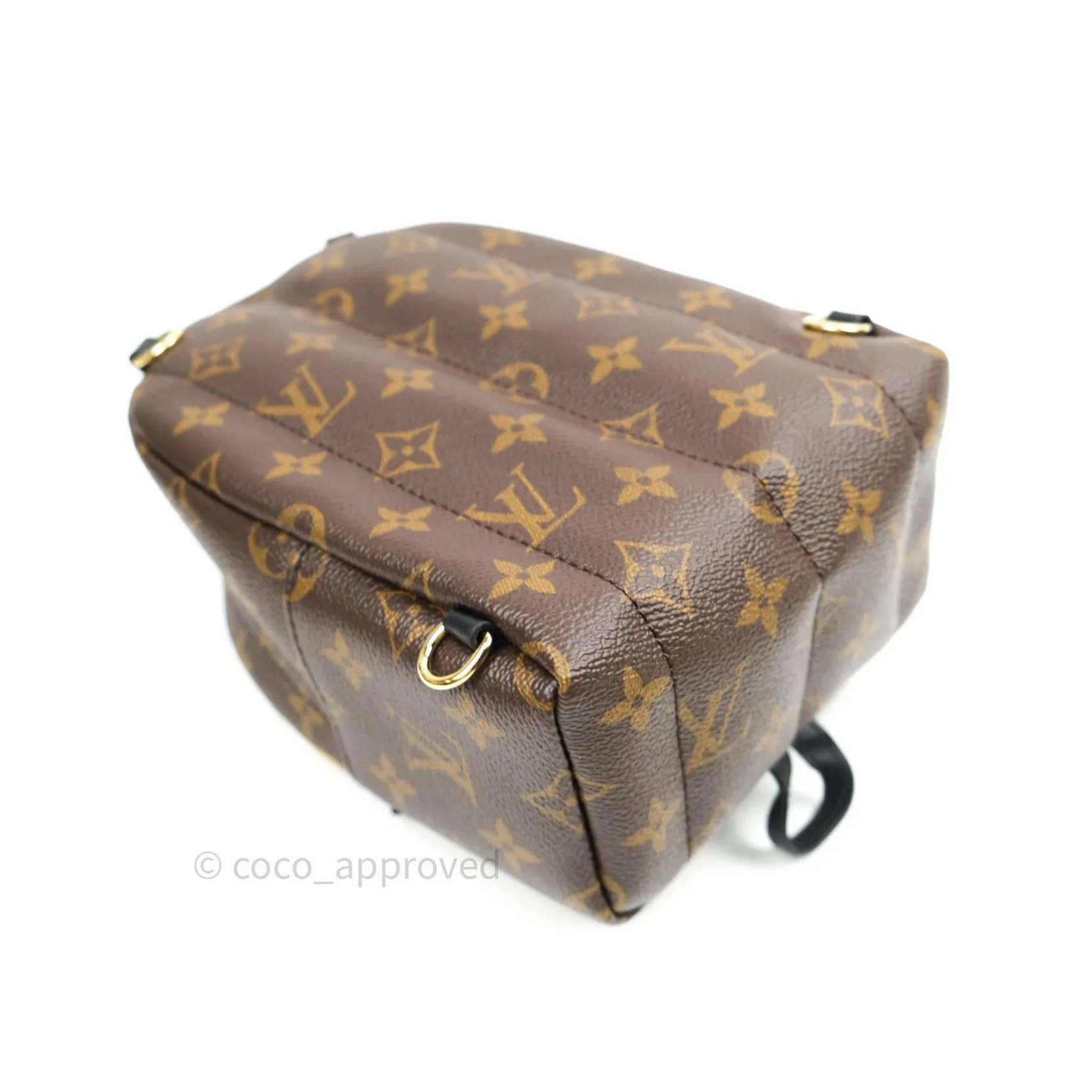 Louis Vuitton Monogram Mini Palm Springs Backpack