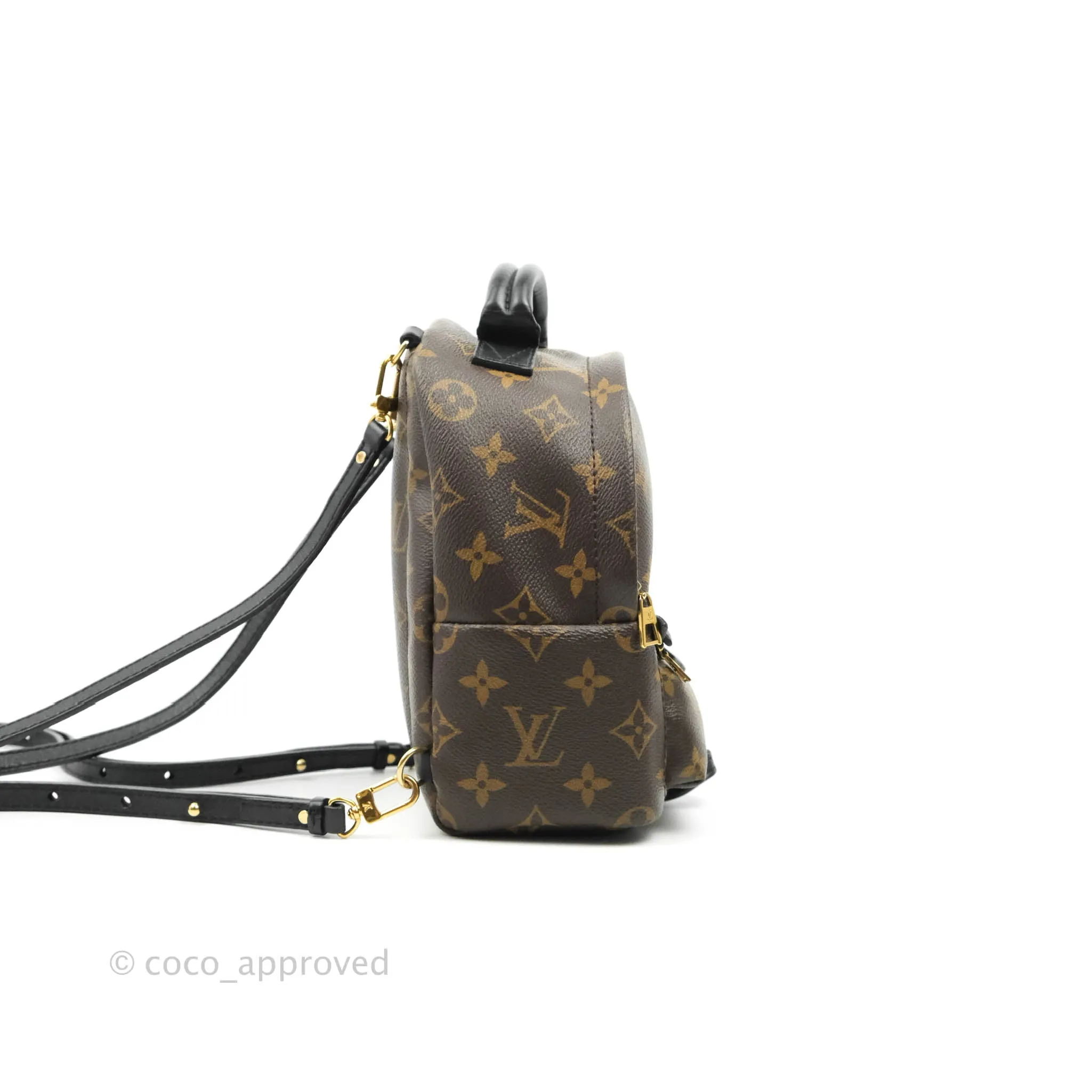 Louis Vuitton Monogram Mini Palm Springs Backpack