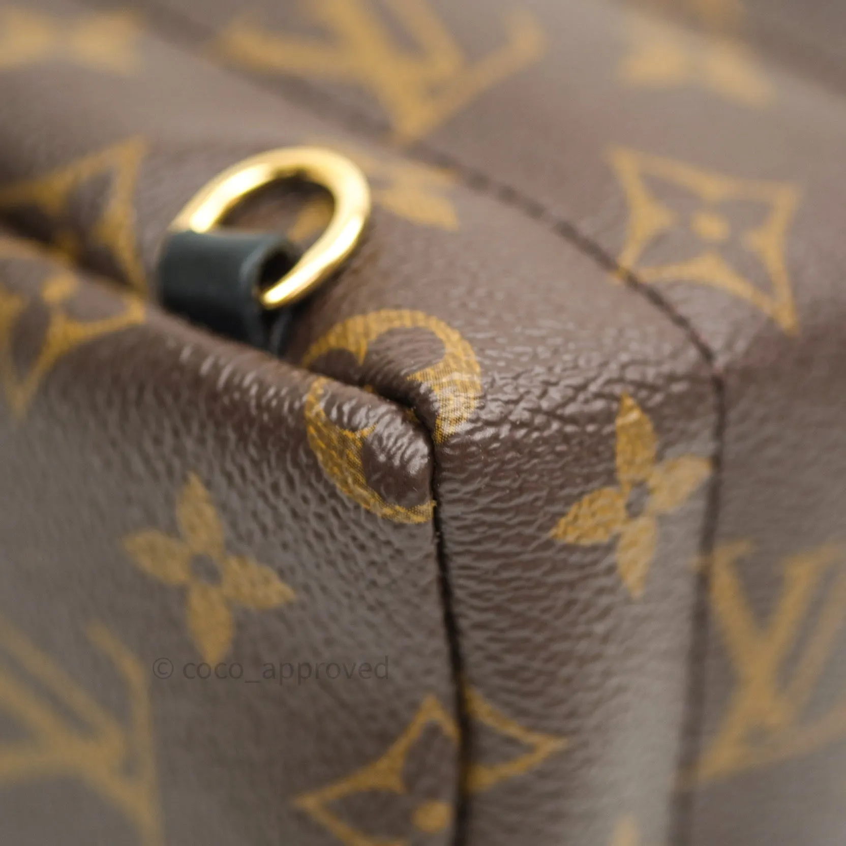 Louis Vuitton Monogram Mini Palm Springs Backpack