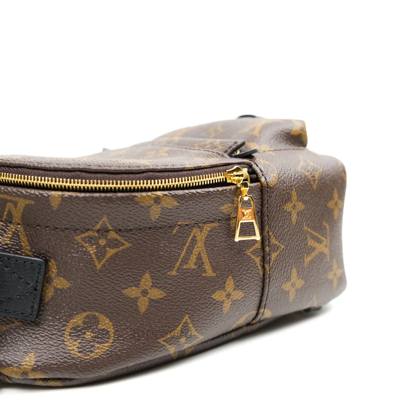 Louis Vuitton Monogram Mini Palm Springs Backpack