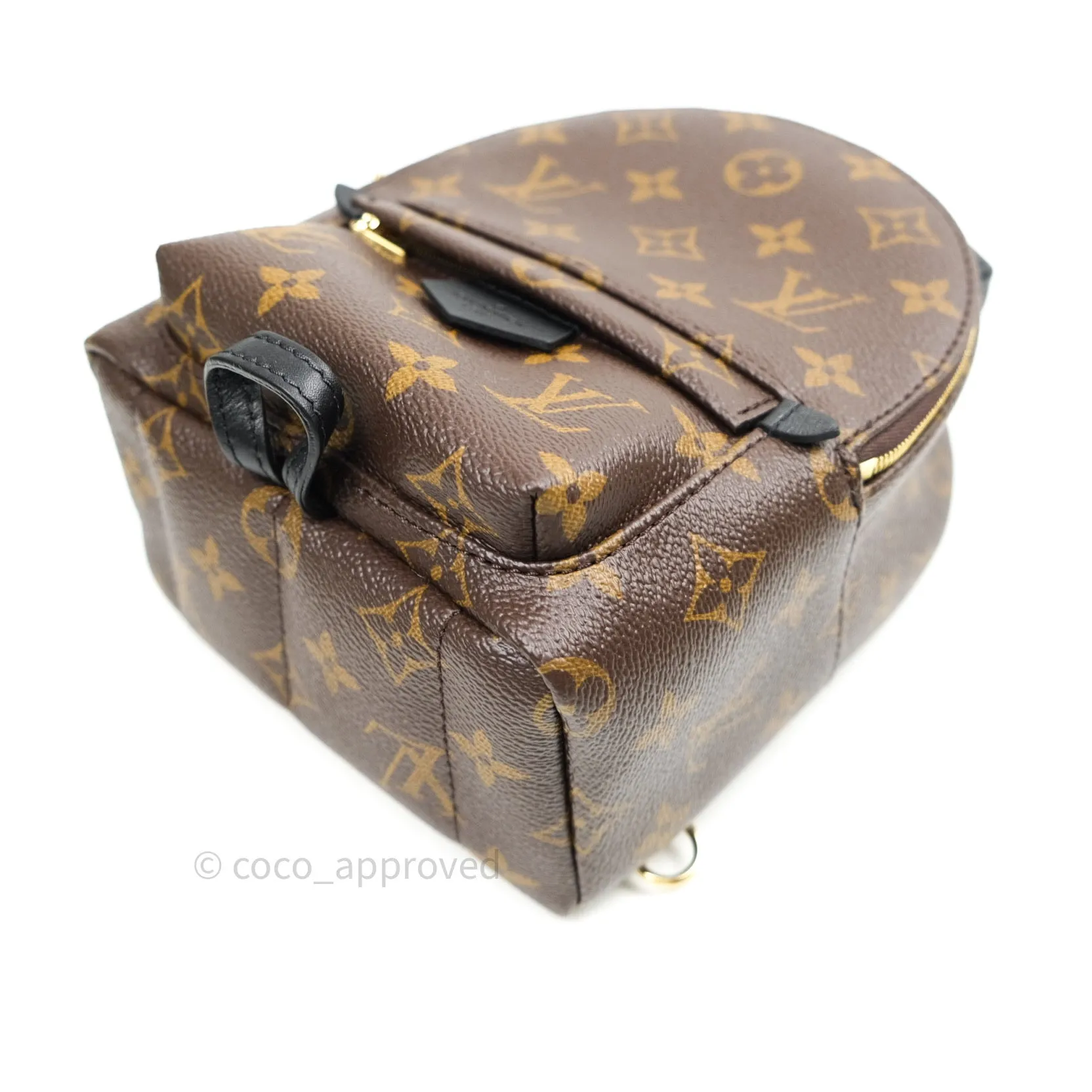 Louis Vuitton Monogram Mini Palm Springs Backpack