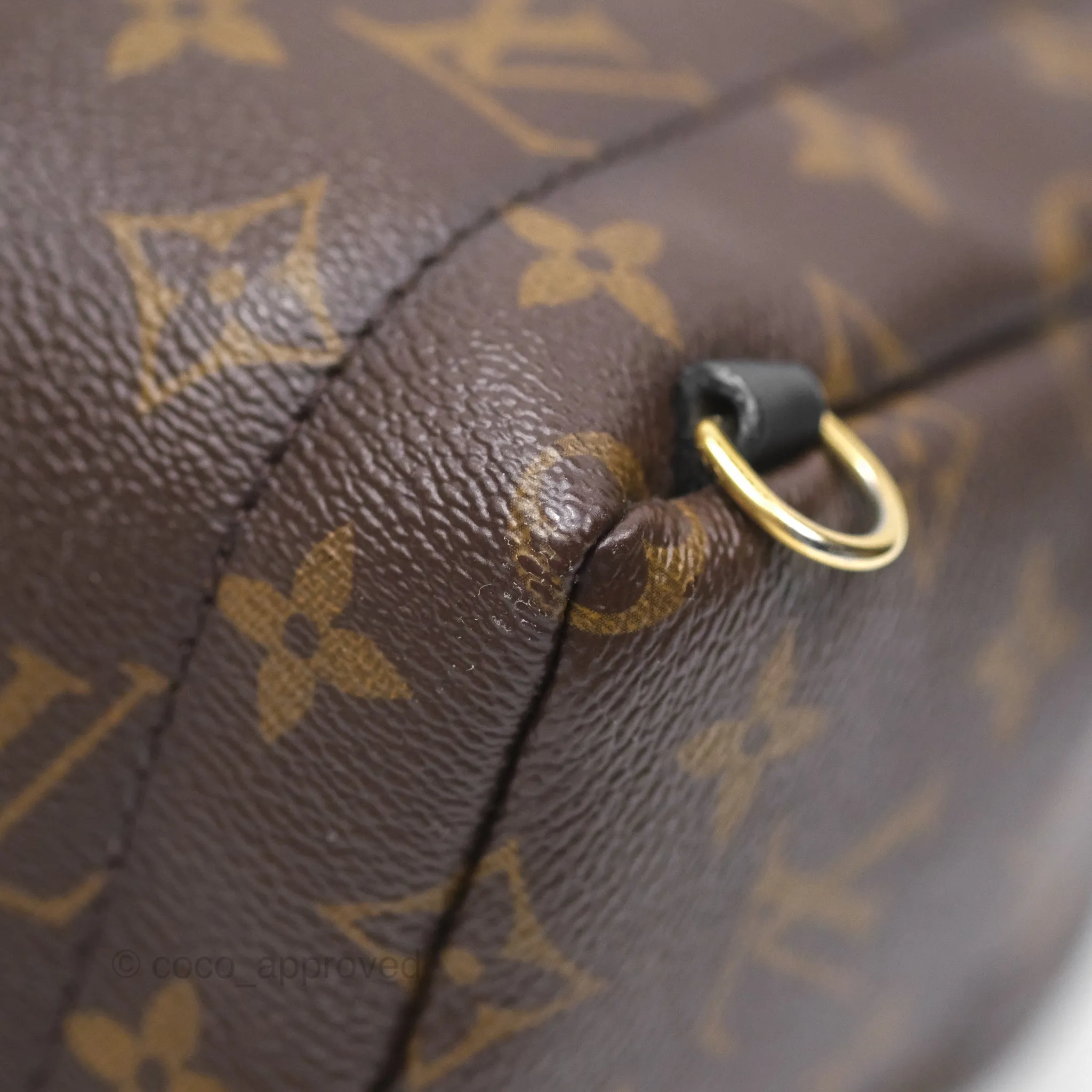 Louis Vuitton Monogram Mini Palm Springs Backpack