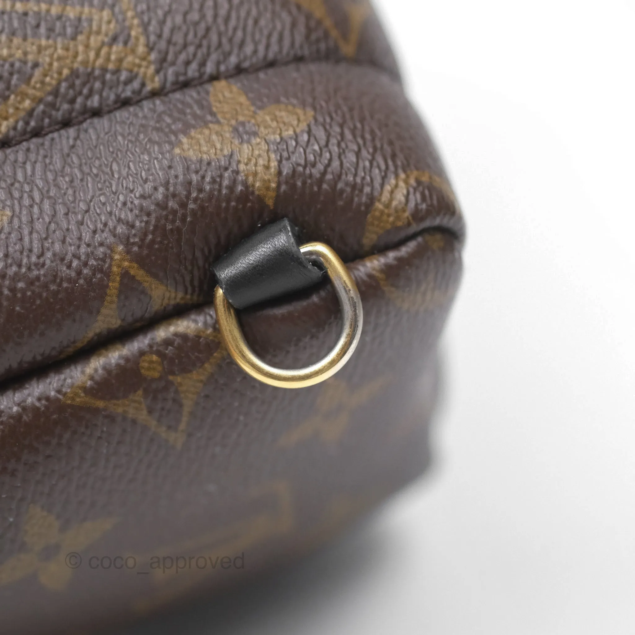 Louis Vuitton Monogram Mini Palm Springs Backpack