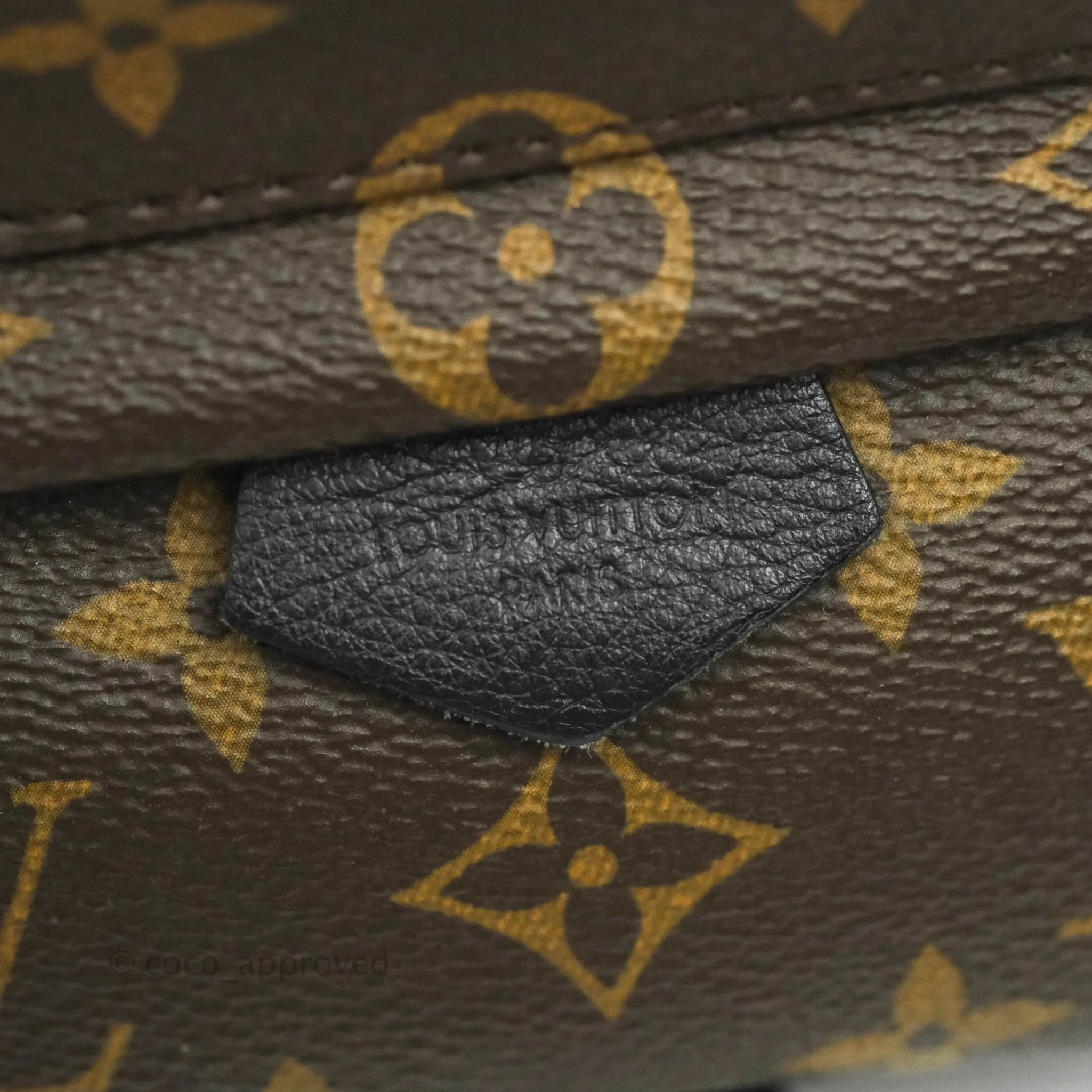Louis Vuitton Monogram Mini Palm Springs Backpack