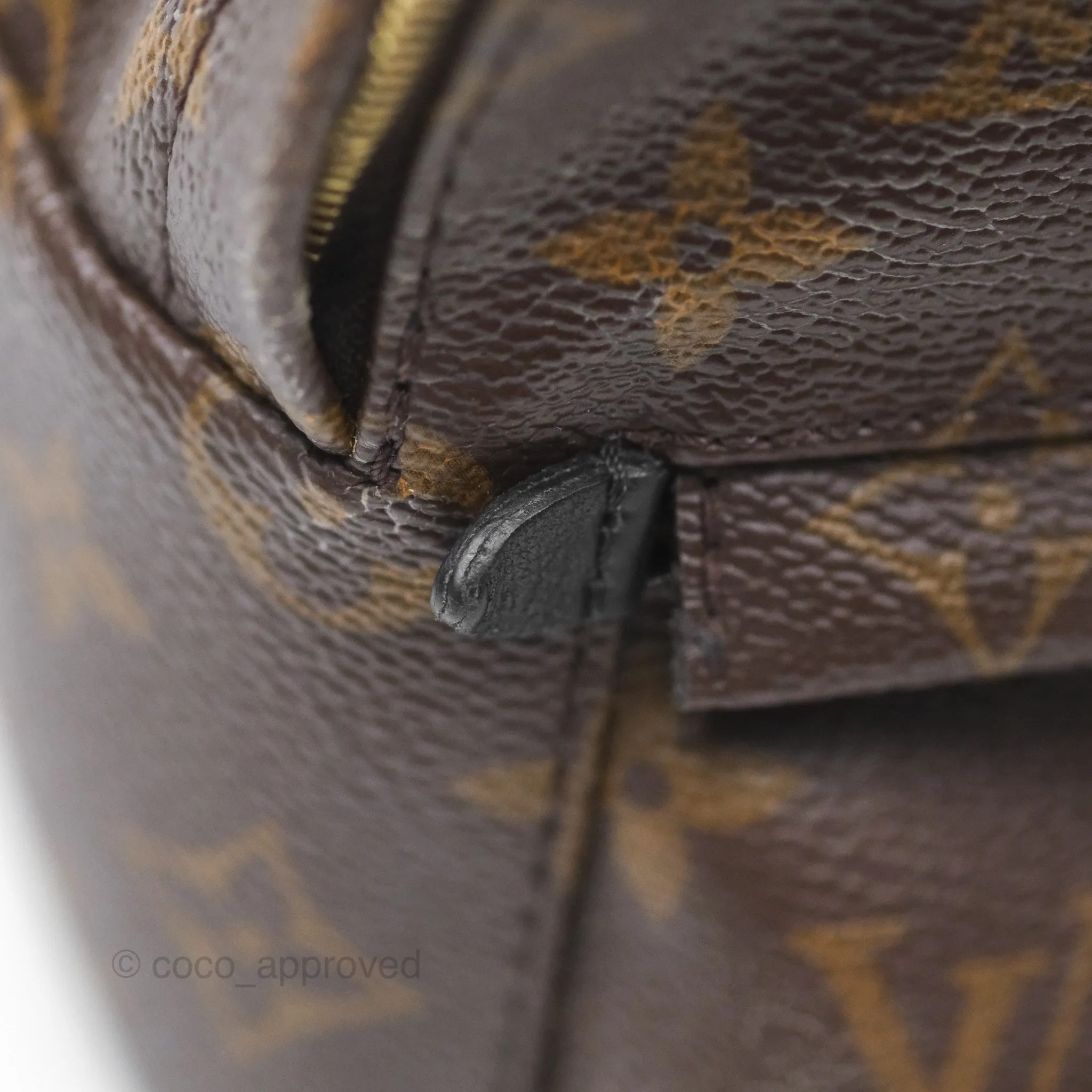 Louis Vuitton Monogram Mini Palm Springs Backpack