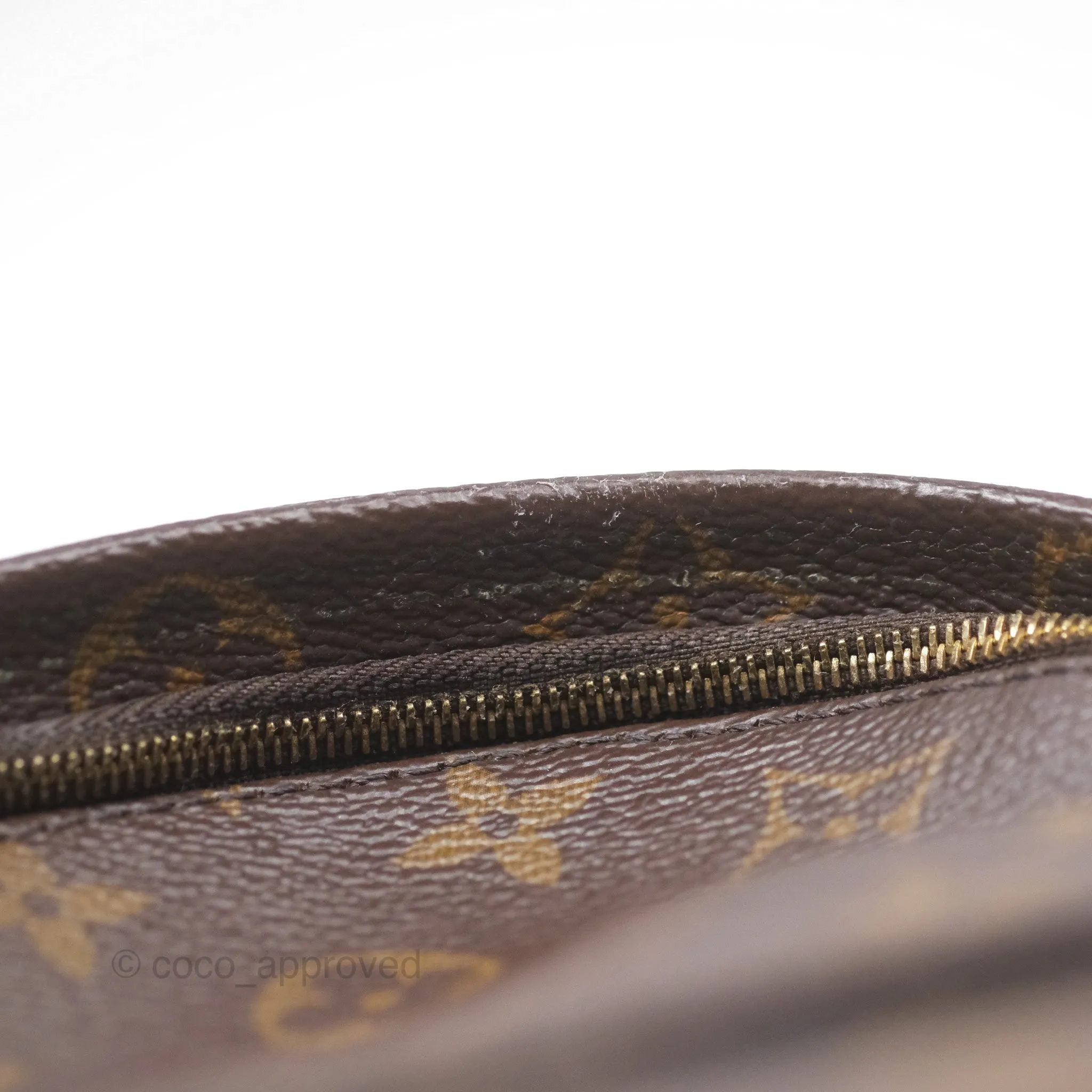 Louis Vuitton Monogram Mini Palm Springs Backpack