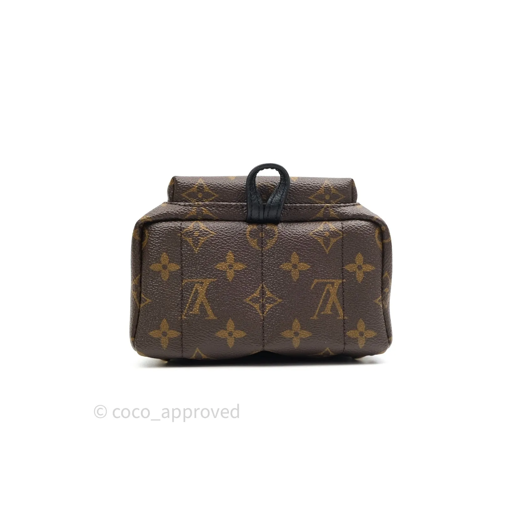 Louis Vuitton Monogram Mini Palm Springs Backpack