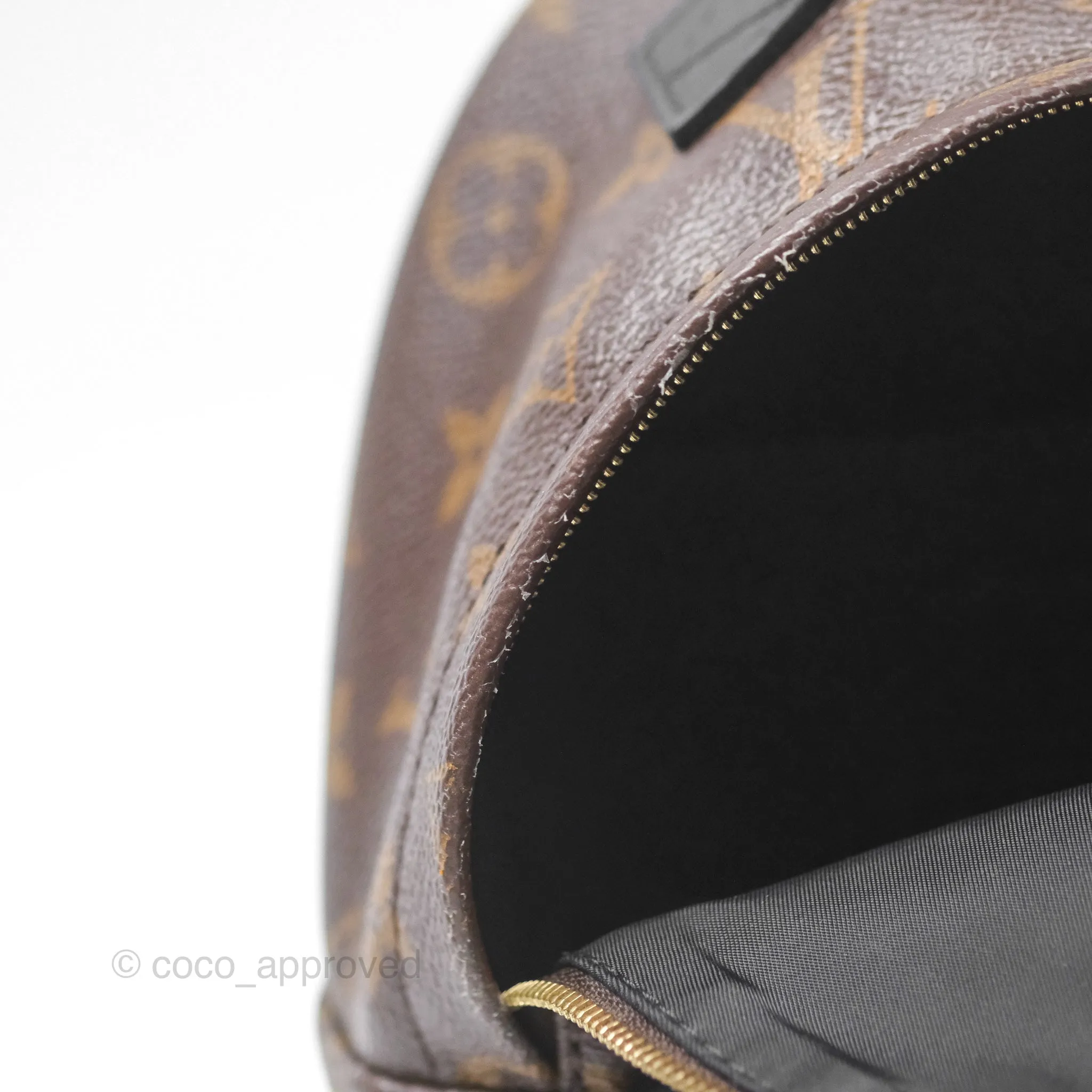 Louis Vuitton Monogram Mini Palm Springs Backpack