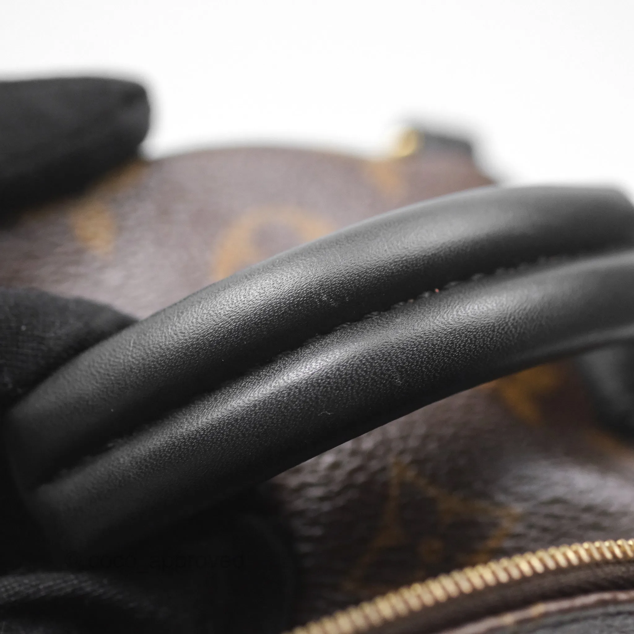 Louis Vuitton Monogram Mini Palm Springs Backpack