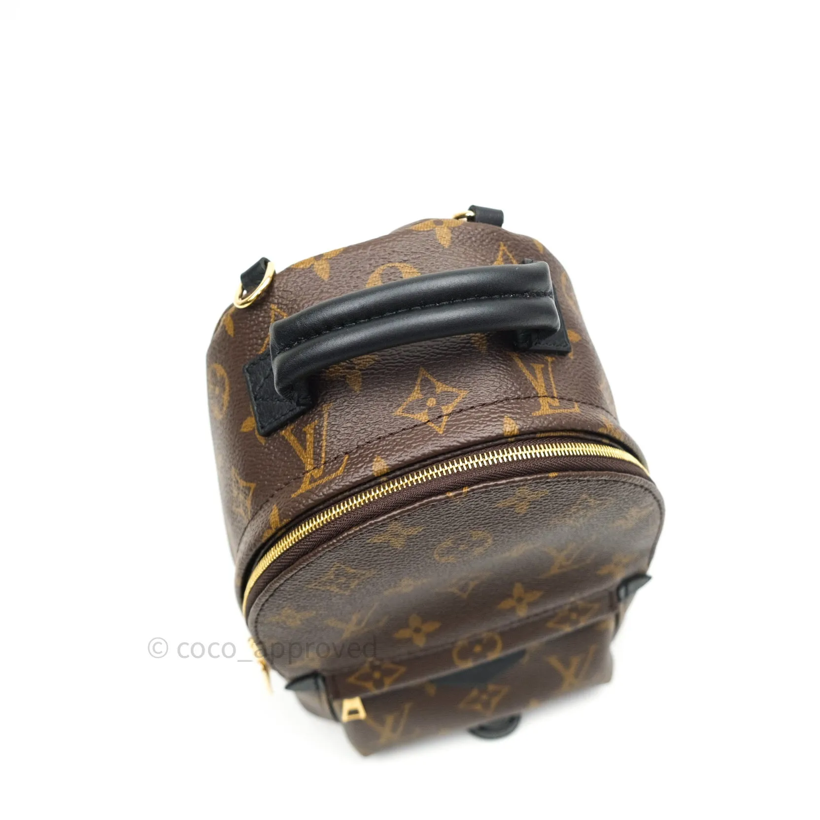 Louis Vuitton Monogram Mini Palm Springs Backpack