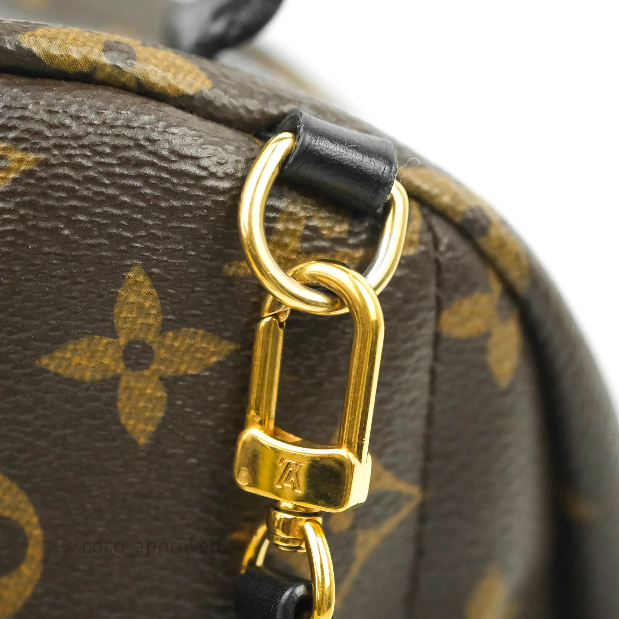 Louis Vuitton Monogram Mini Palm Springs Backpack