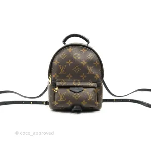 Louis Vuitton Monogram Mini Palm Springs Backpack