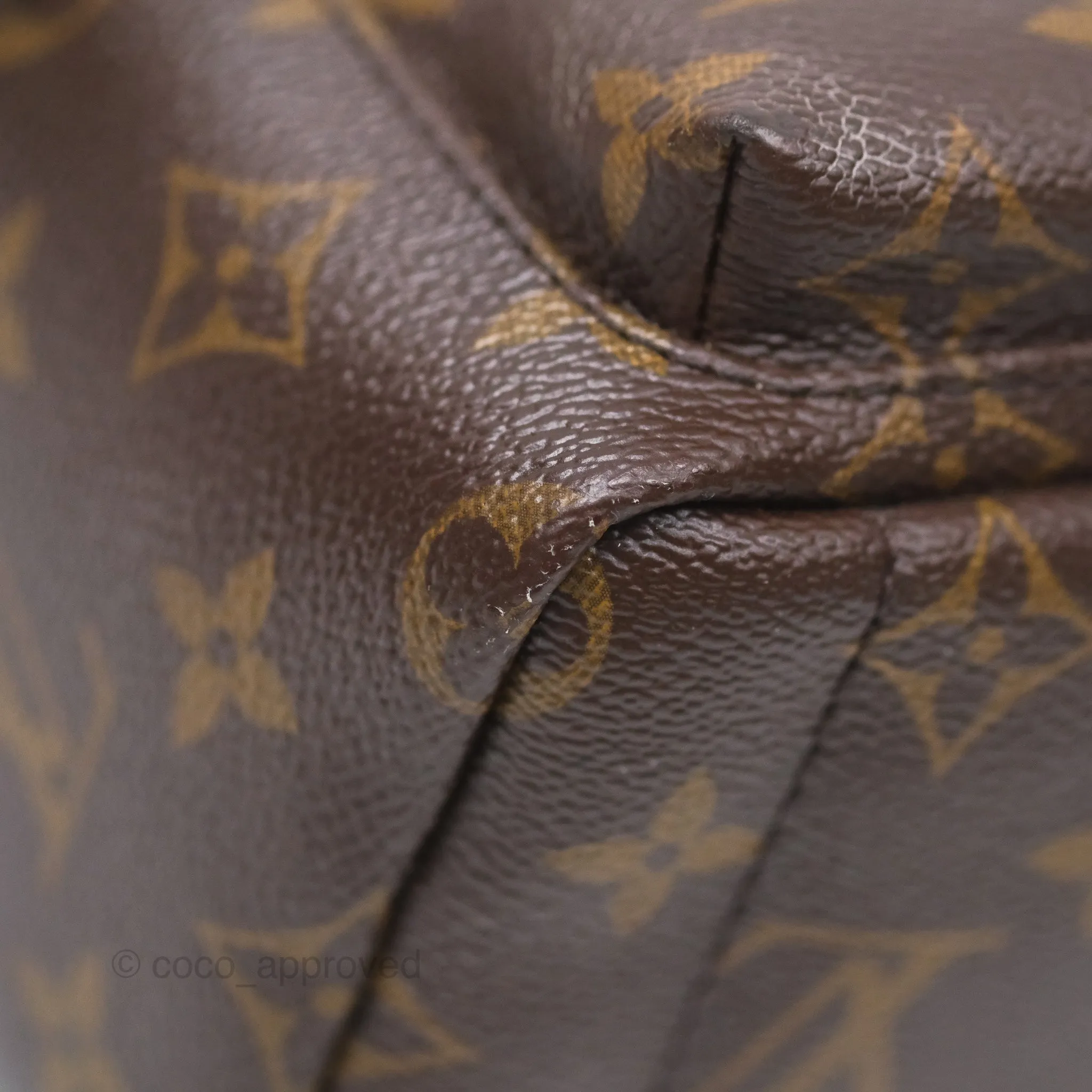 Louis Vuitton Monogram Mini Palm Springs Backpack