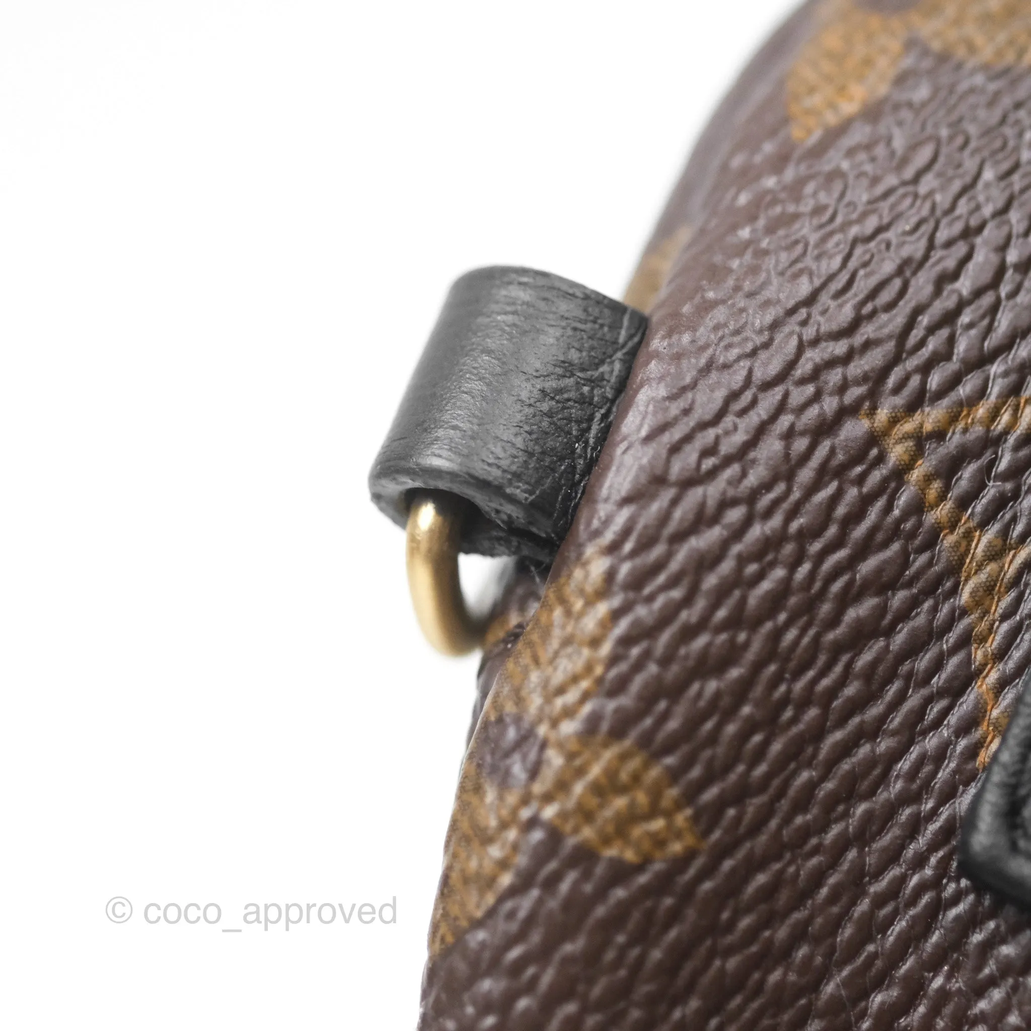 Louis Vuitton Monogram Mini Palm Springs Backpack