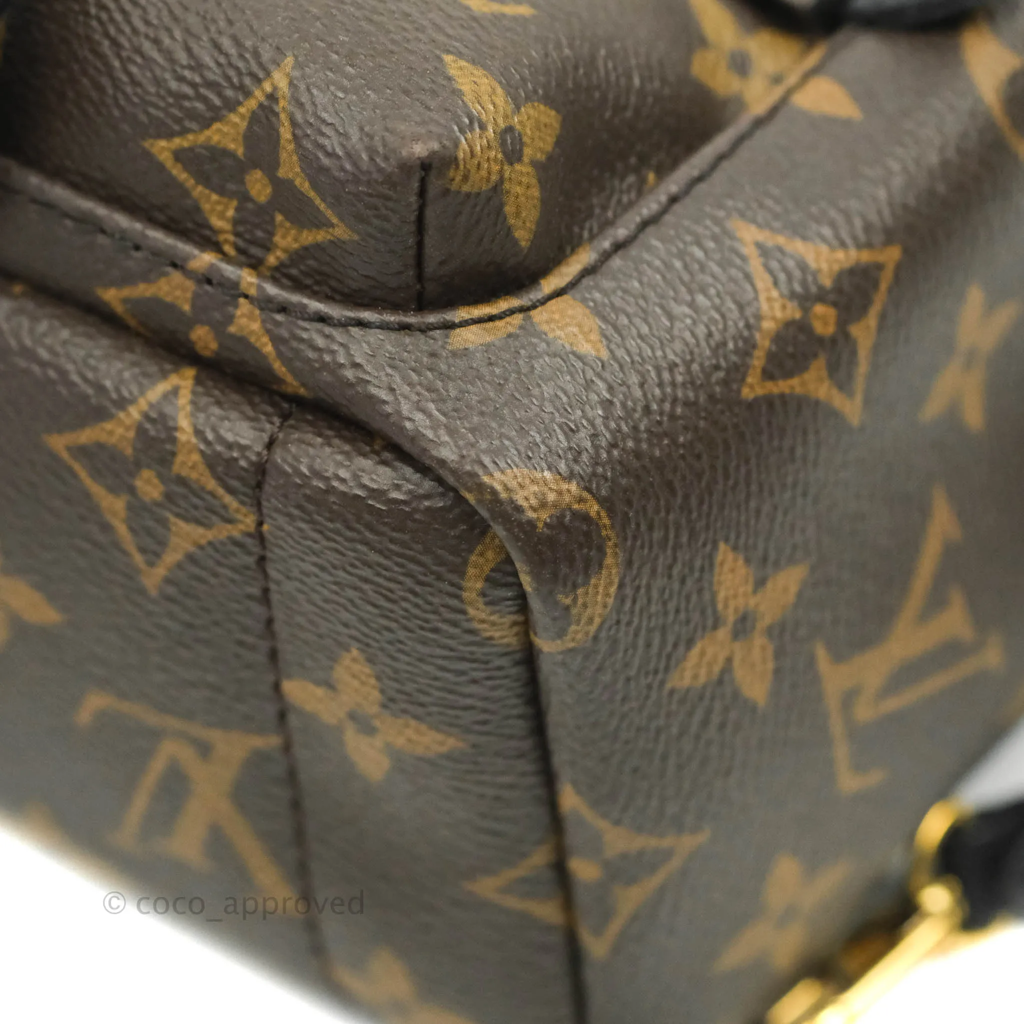 Louis Vuitton Monogram Mini Palm Springs Backpack