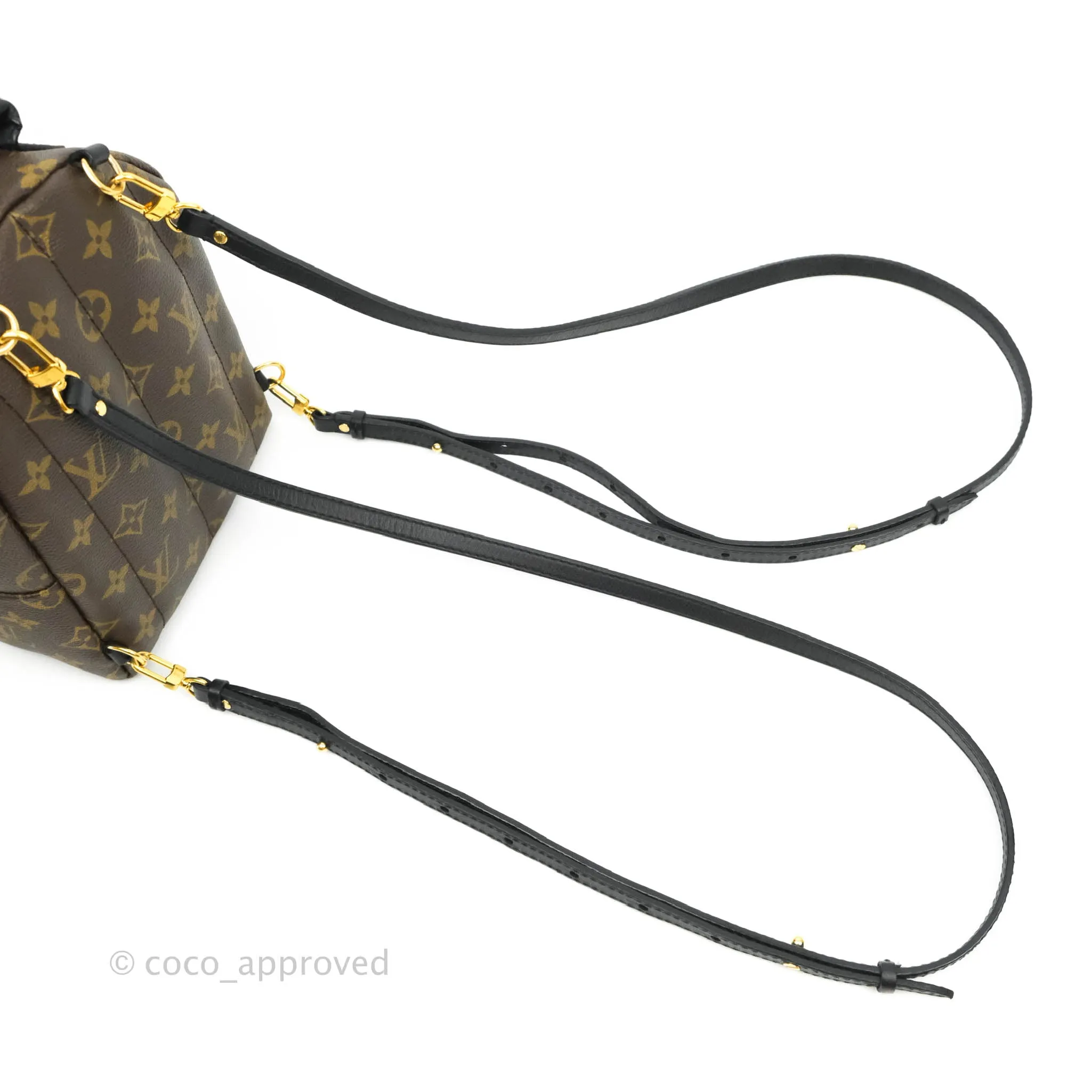 Louis Vuitton Monogram Mini Palm Springs Backpack
