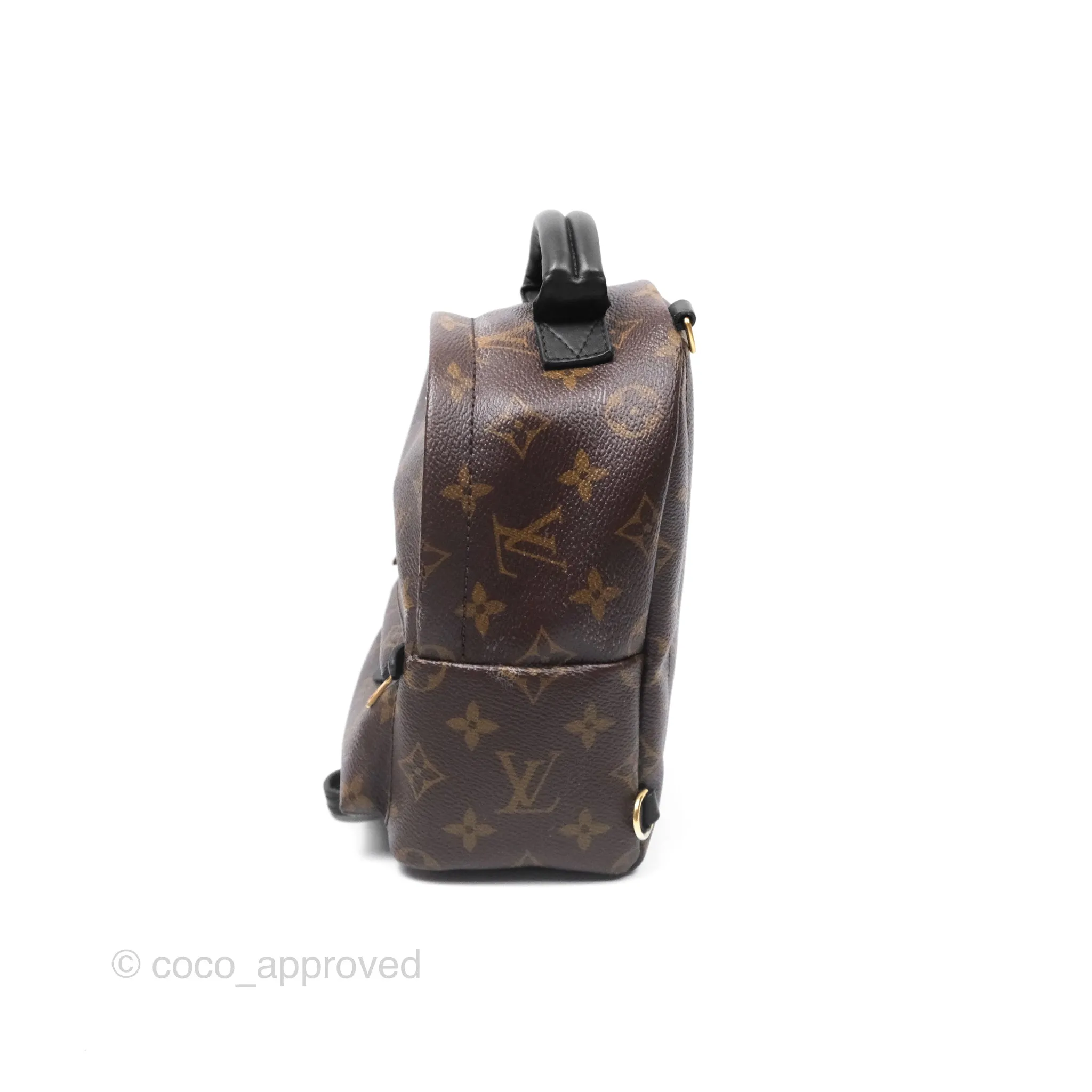 Louis Vuitton Monogram Mini Palm Springs Backpack